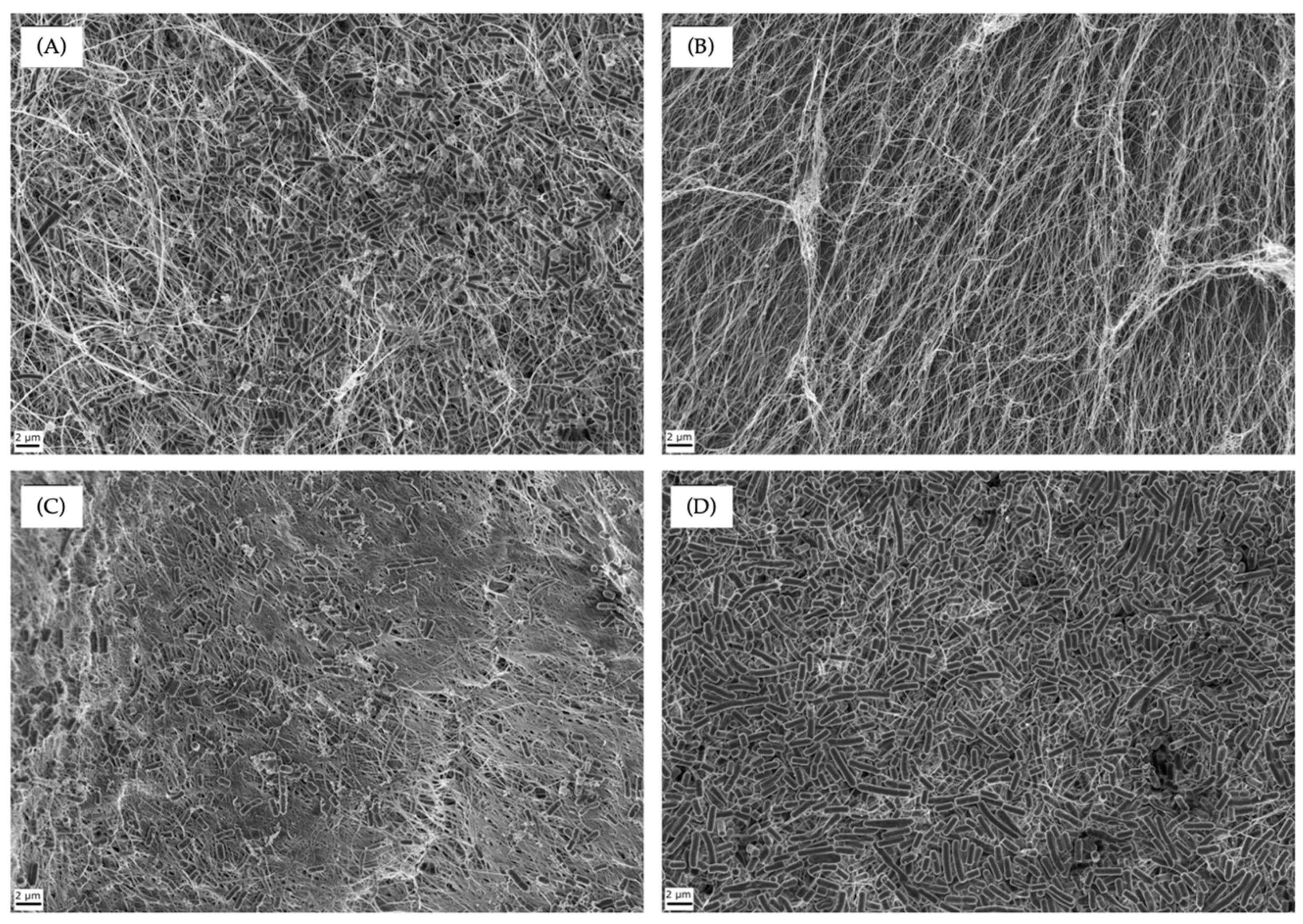 Antibiotics 13 01003 g002