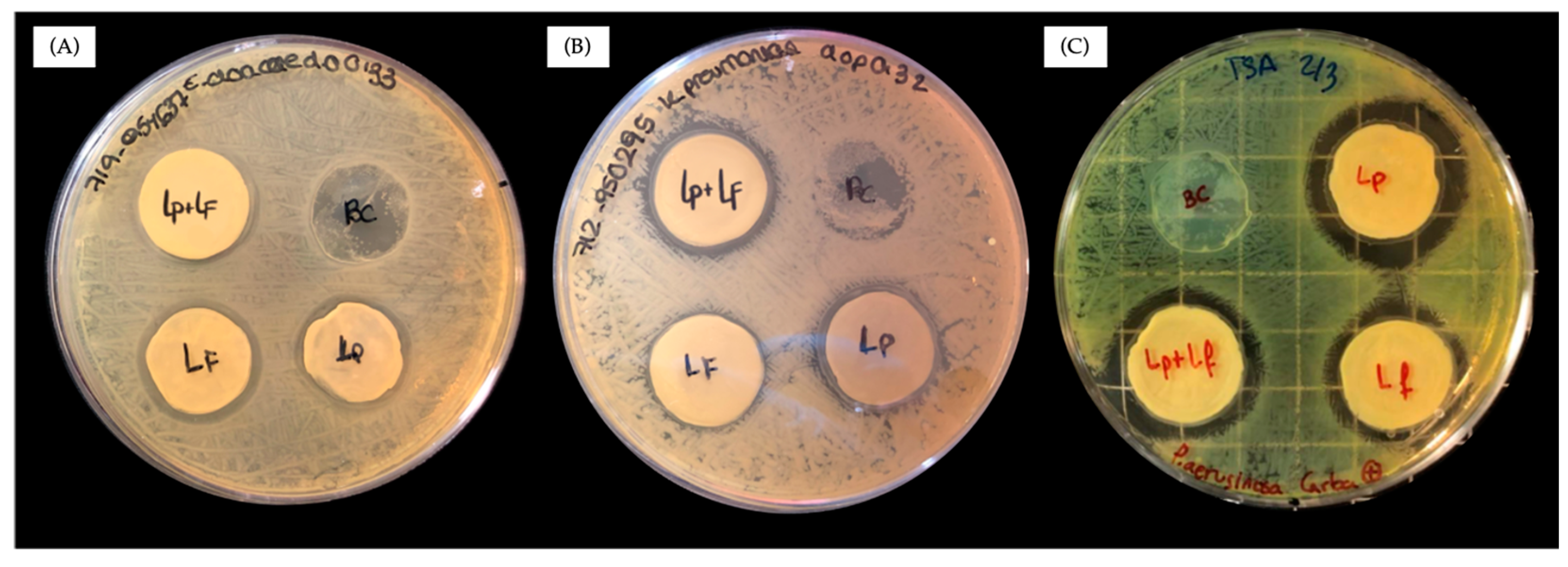 Antibiotics 13 01003 g003