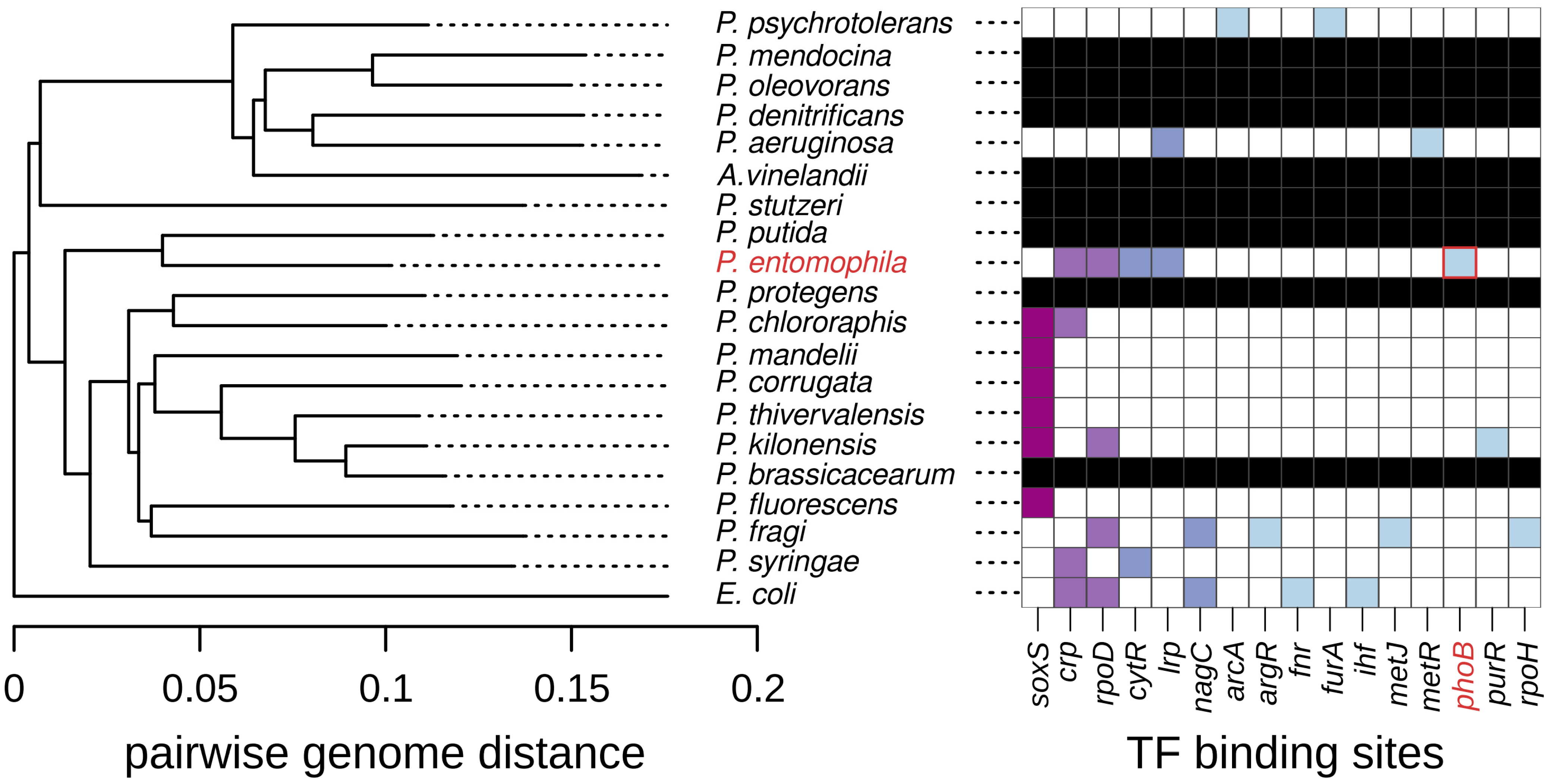 Antibiotics 13 01008 g003 Antibiotics 13 01008 g003