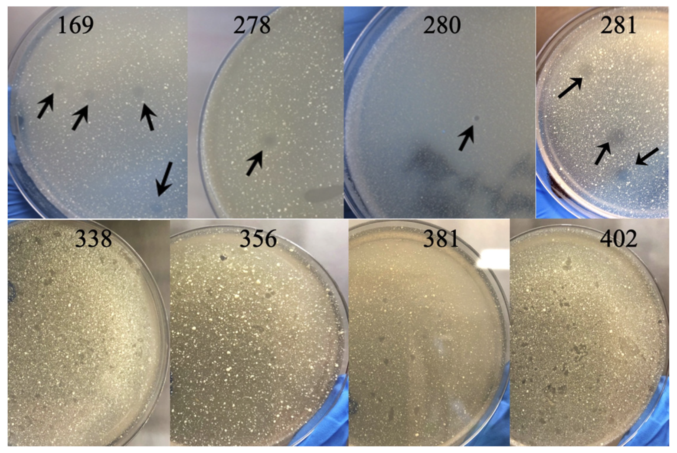 Antibiotics 13 01009 g001