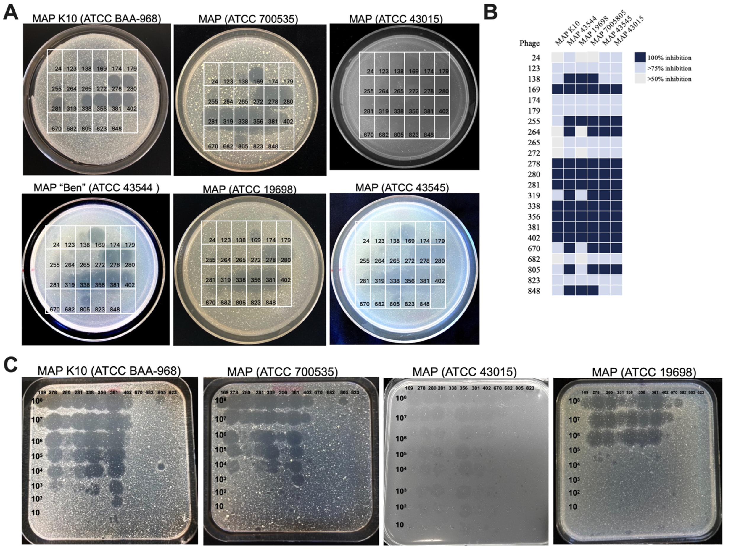 Antibiotics 13 01009 g002