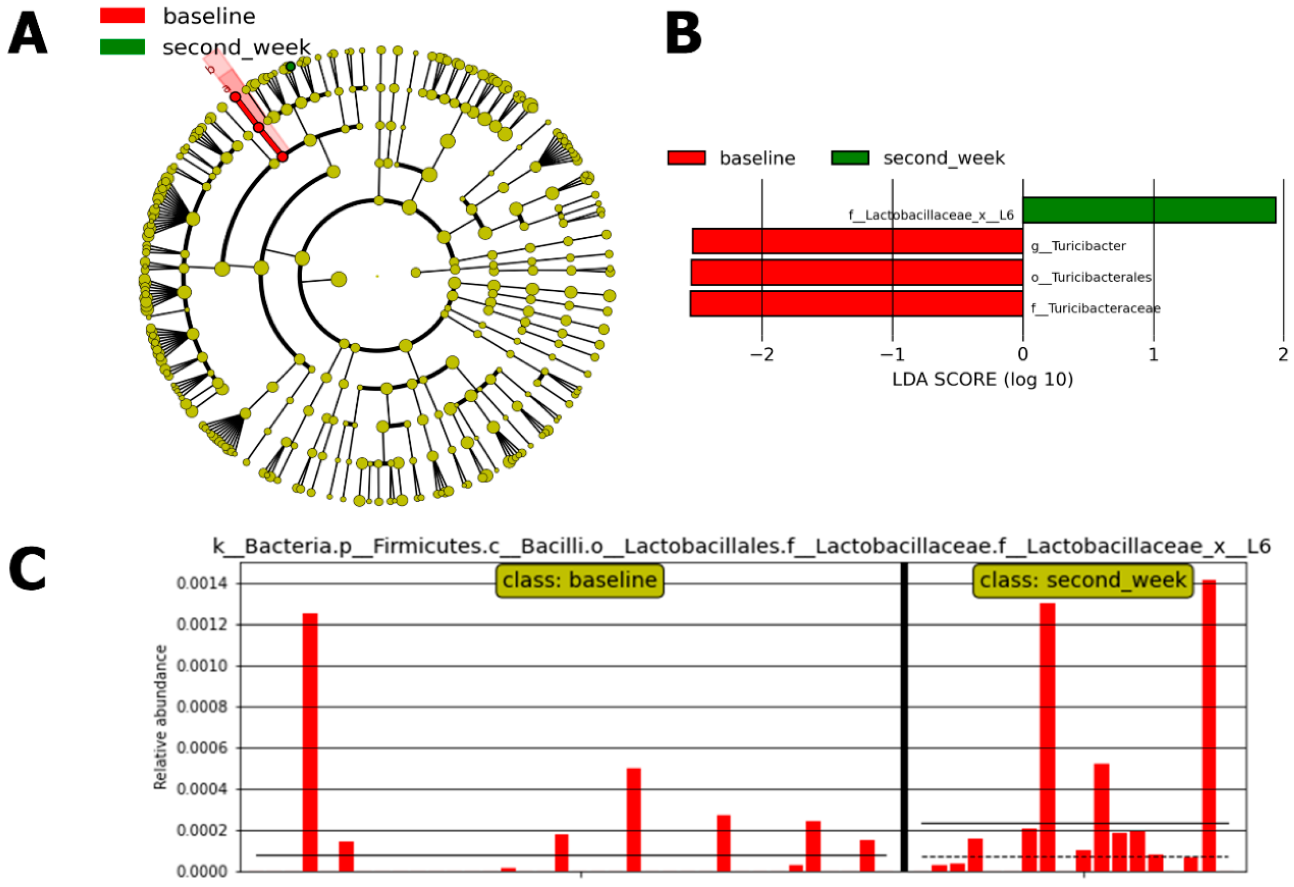 Antibiotics 13 01010 g004
