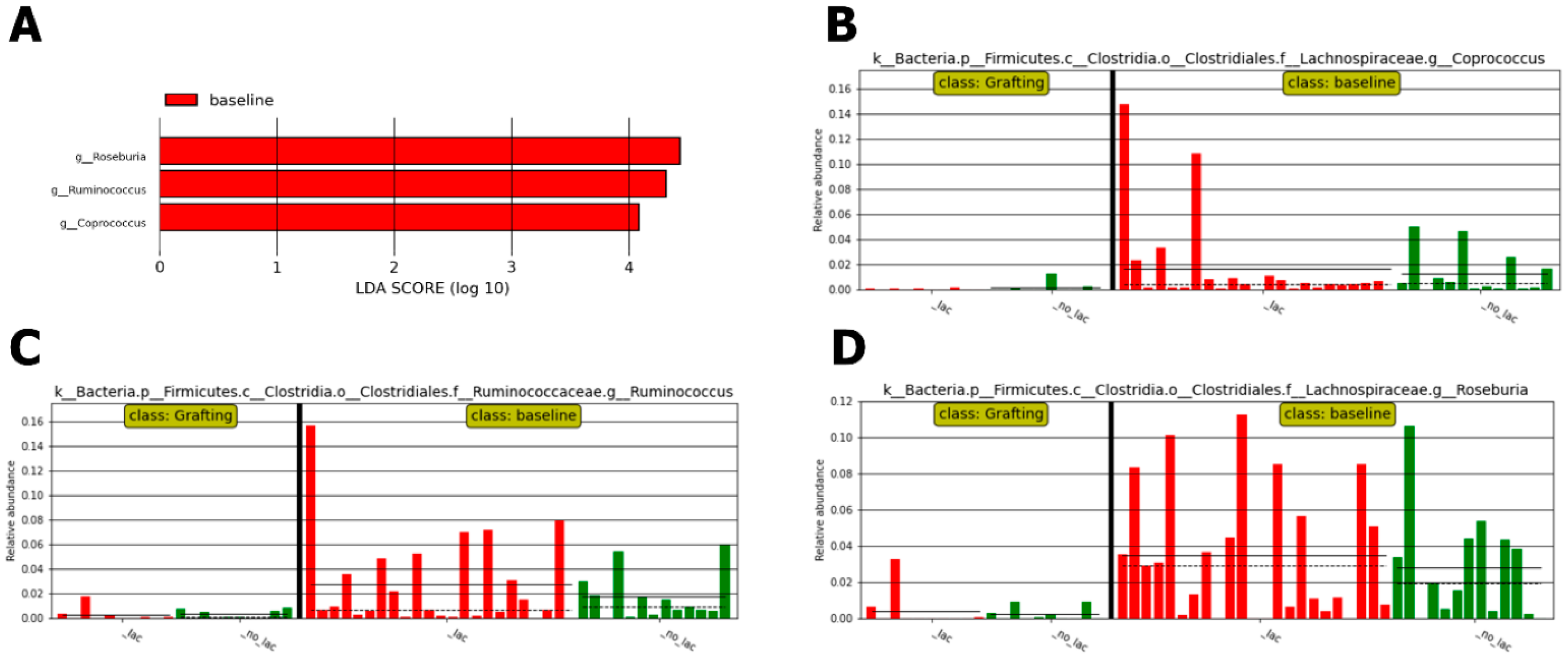 Antibiotics 13 01010 g005