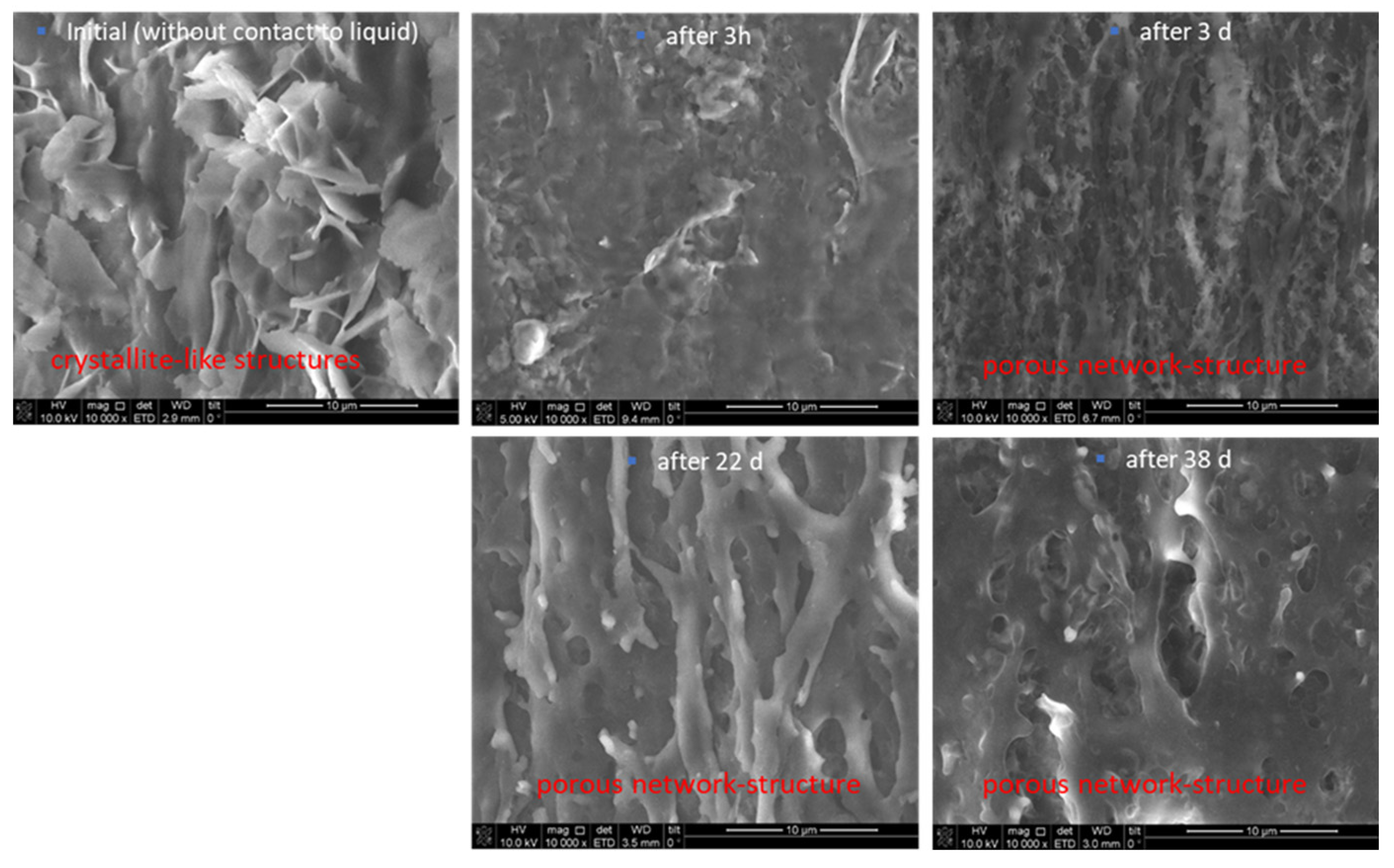 Antibiotics 13 01012 g003