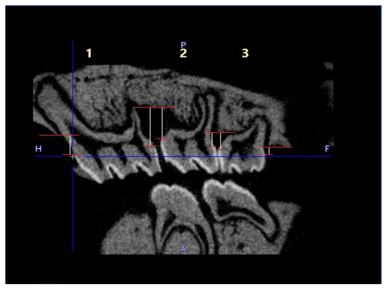 Antibiotics 13 01012 g008