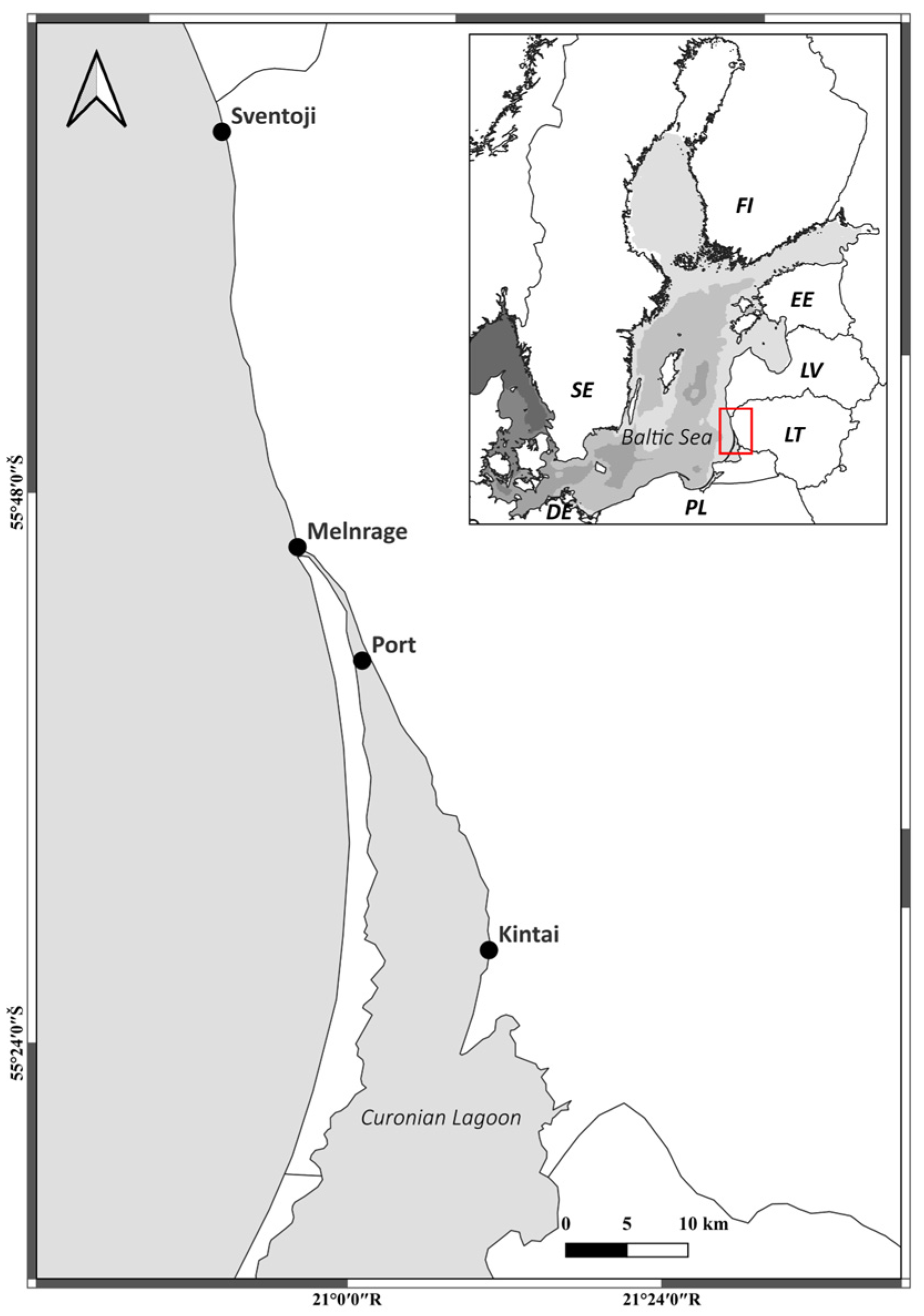 Antibiotics 13 01013 g007
