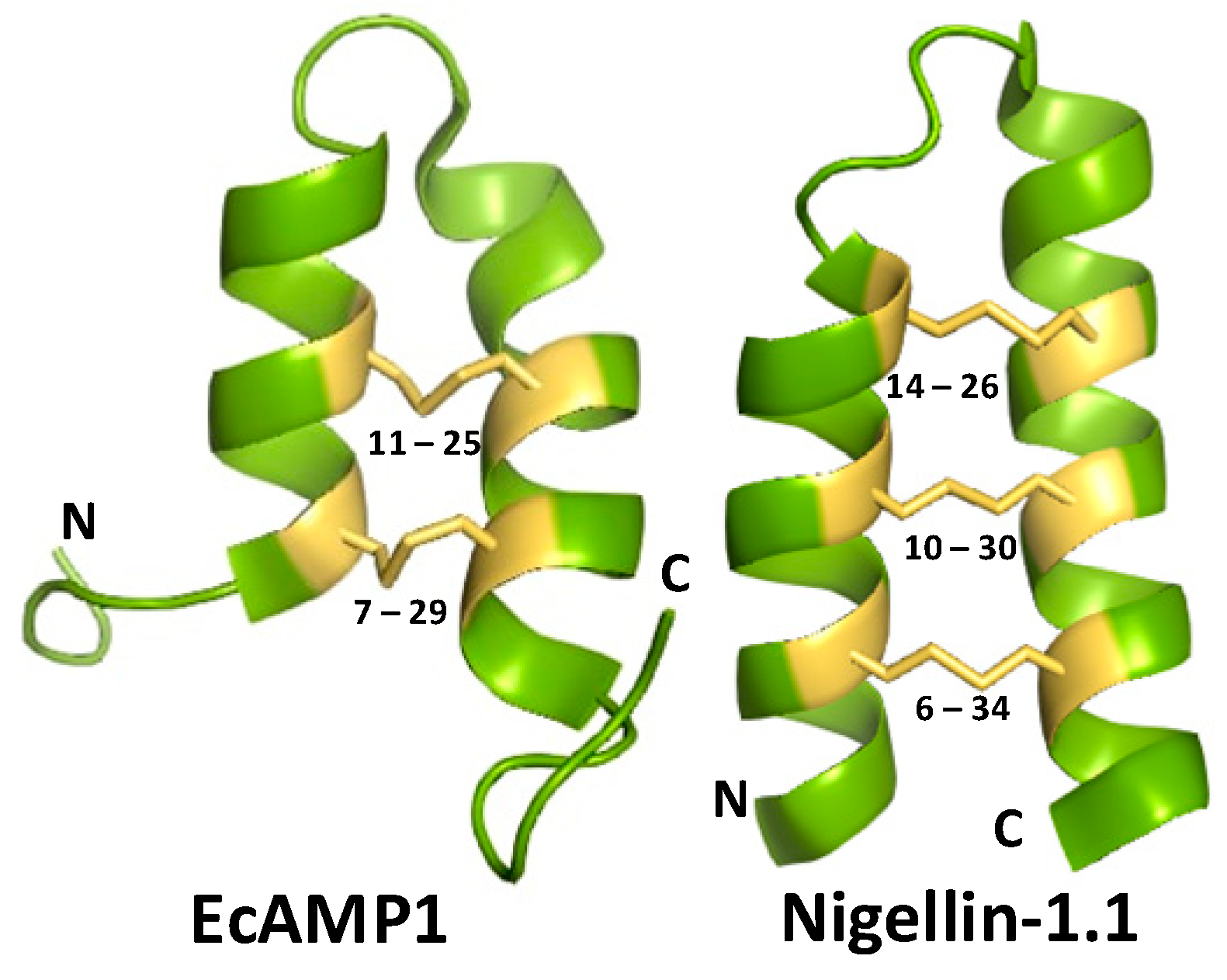 Antibiotics 13 01019 g001
