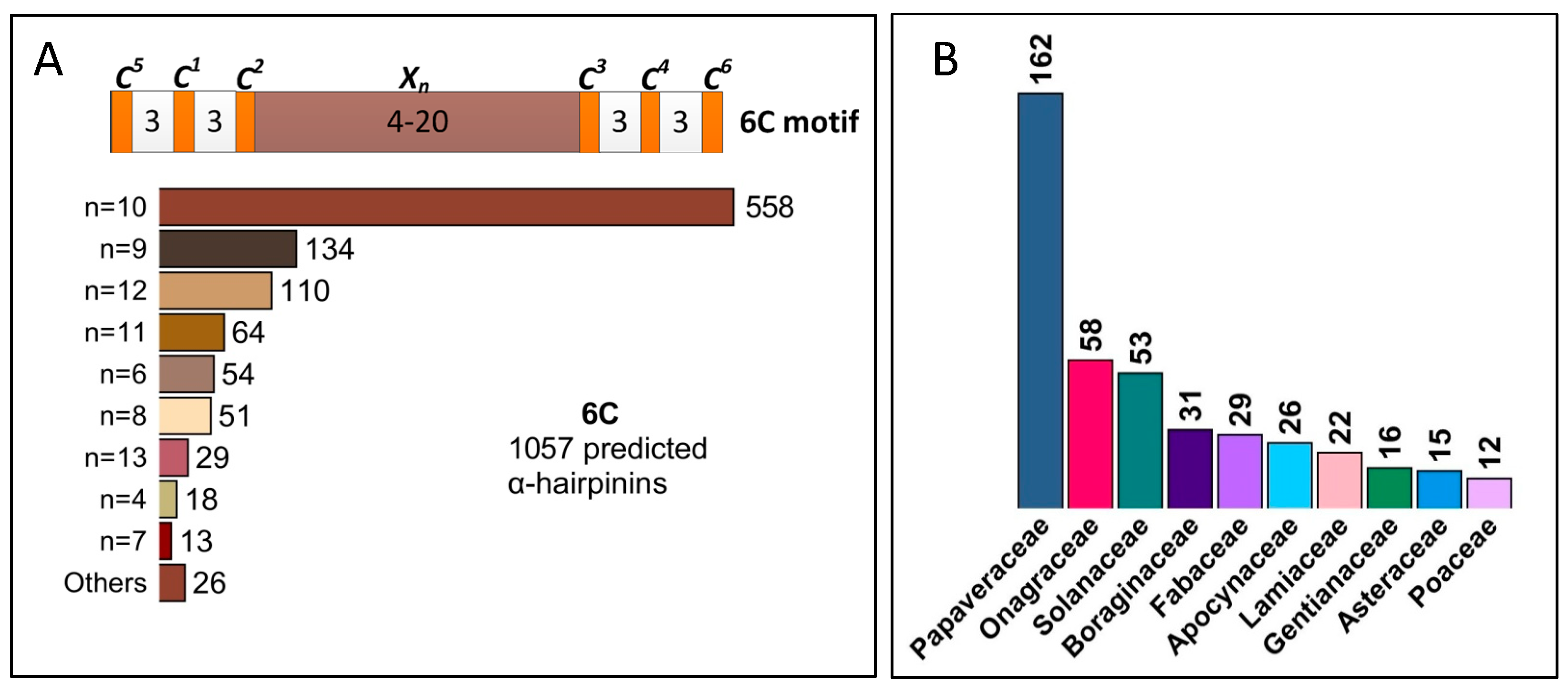 Antibiotics 13 01019 g004