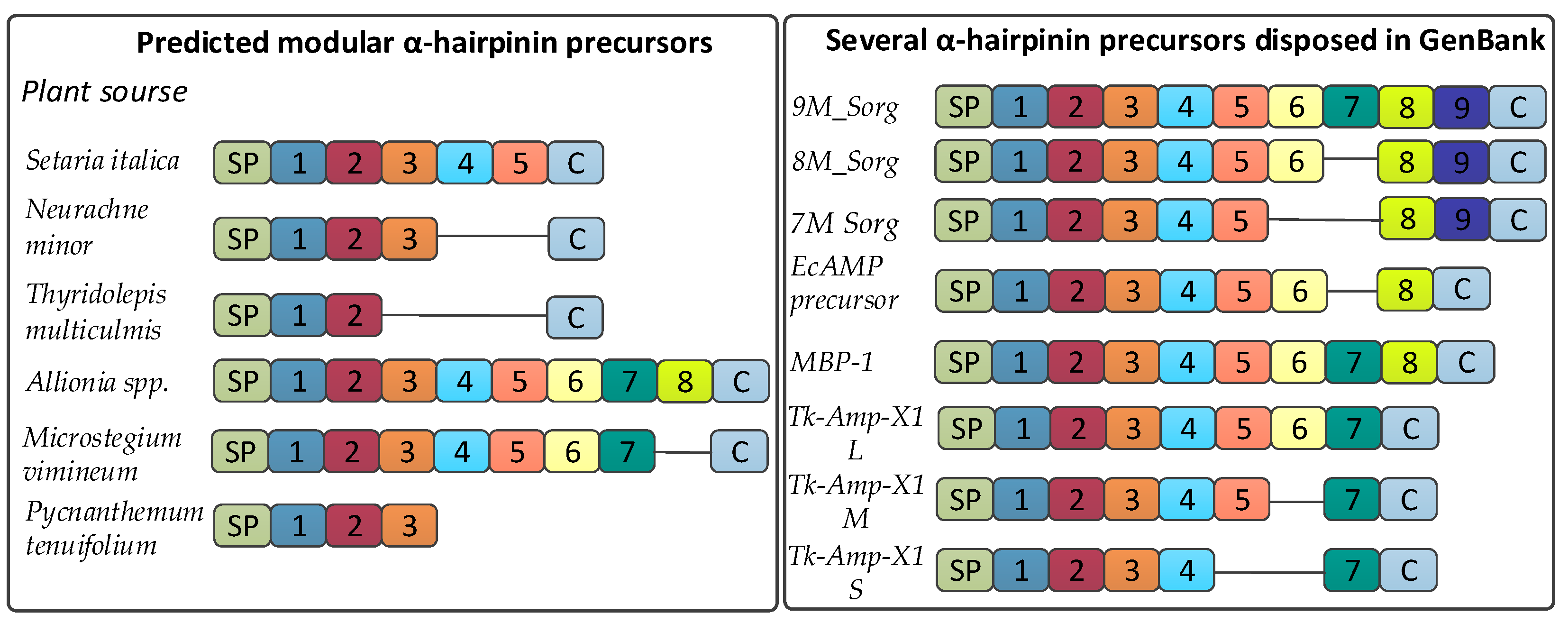Antibiotics 13 01019 g006