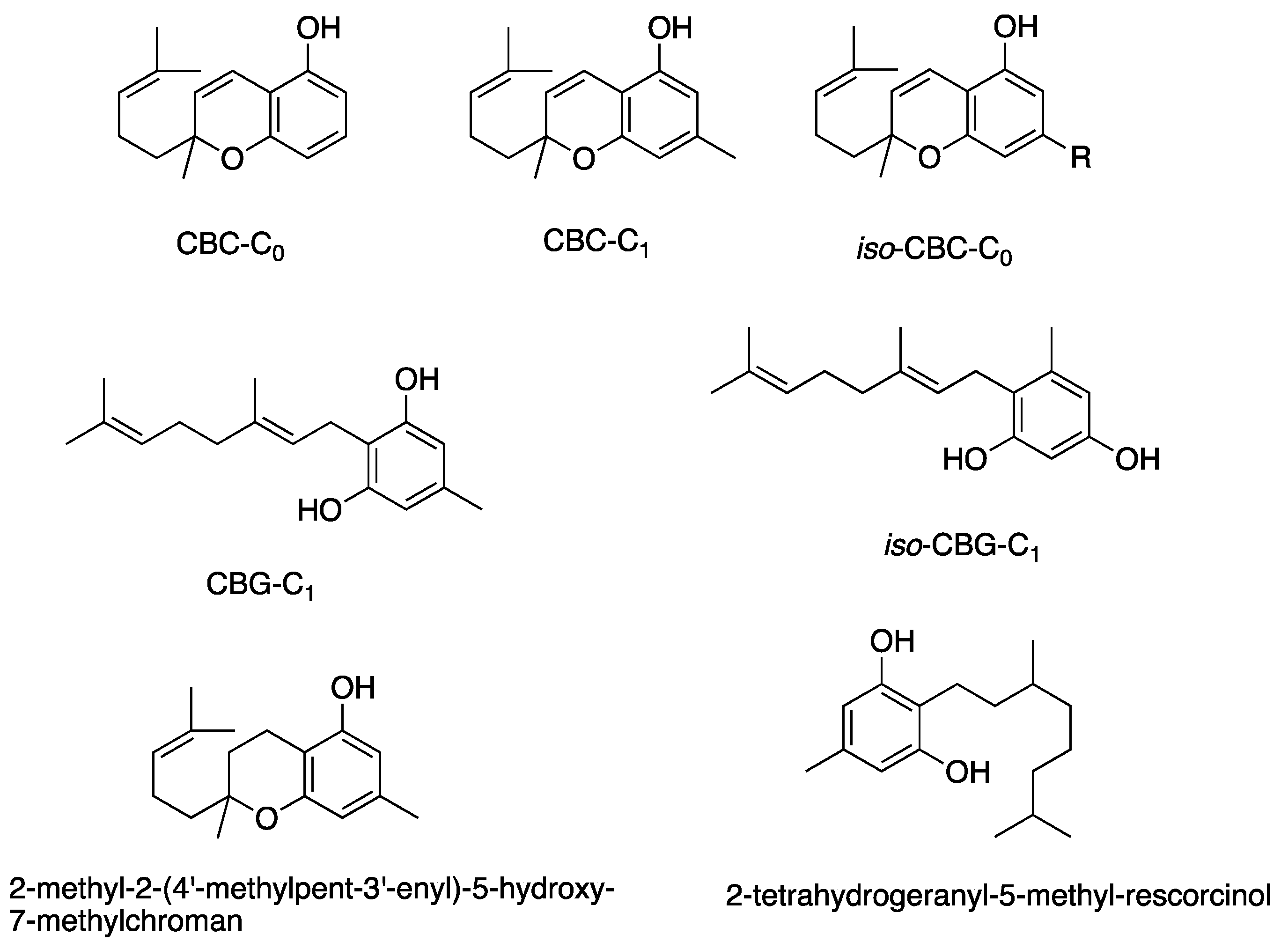 Antibiotics 13 01023 g007 Antibiotics 13 01023 g007