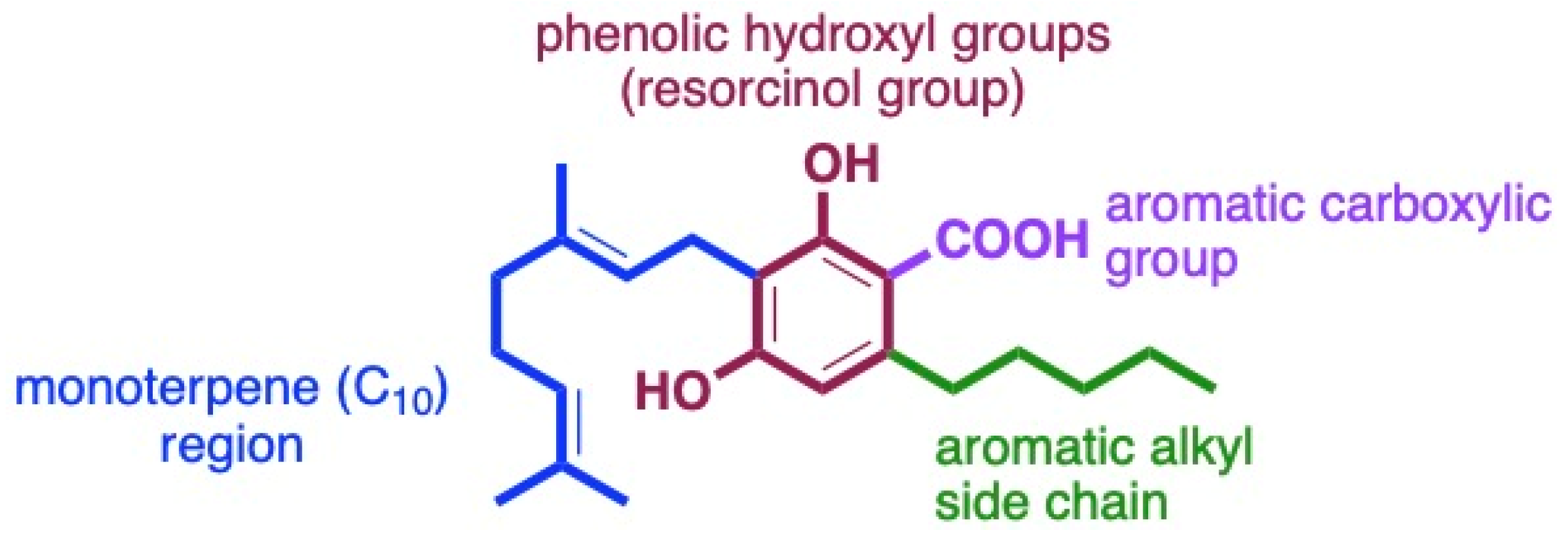 Antibiotics 13 01023 g009 Antibiotics 13 01023 g009