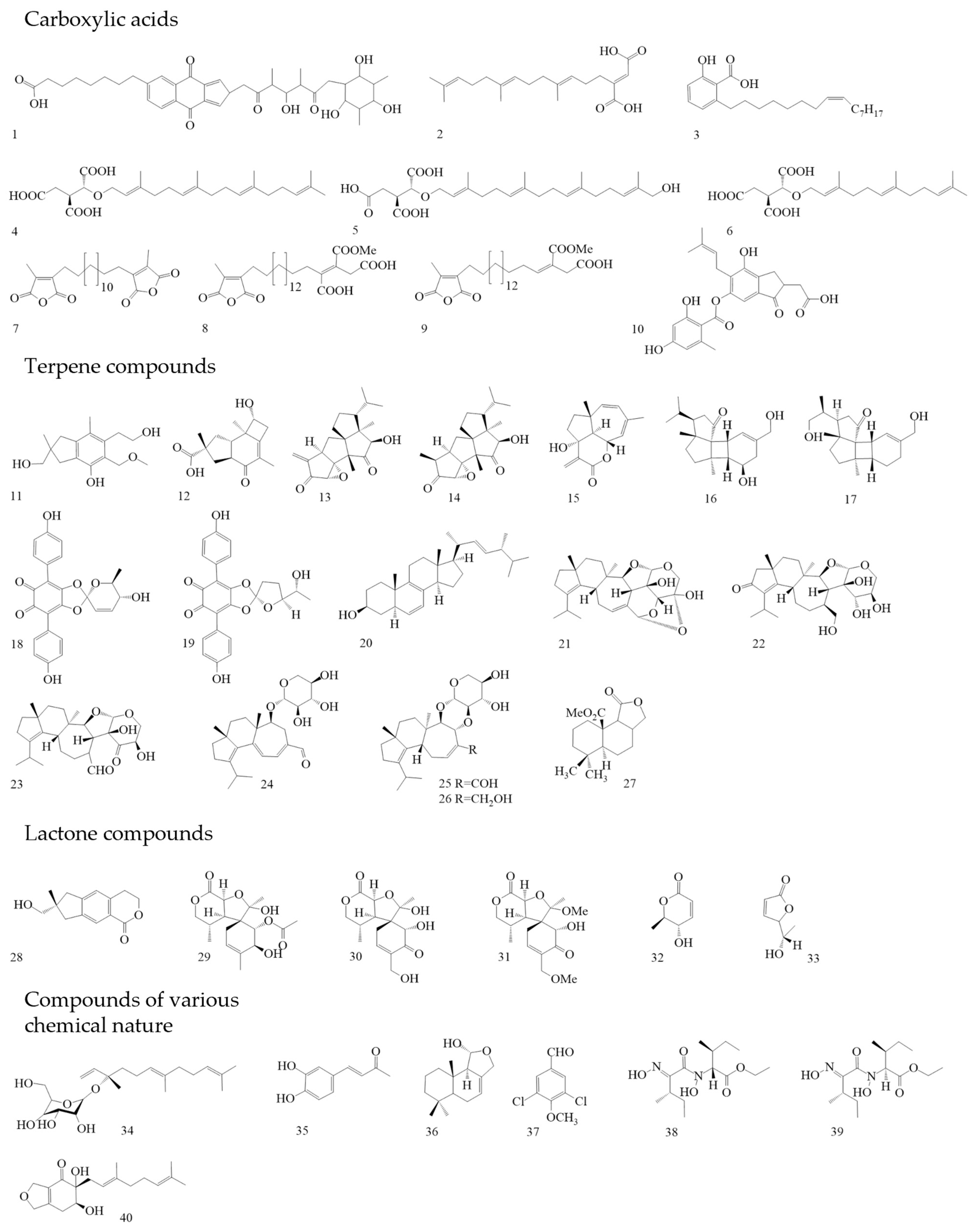 Antibiotics 13 01026 g004