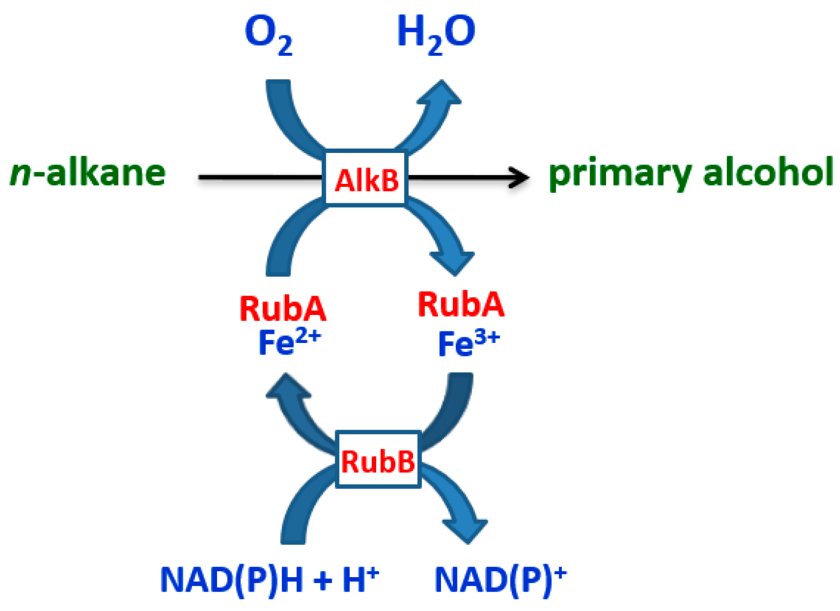 Antibiotics 13 01028 g002