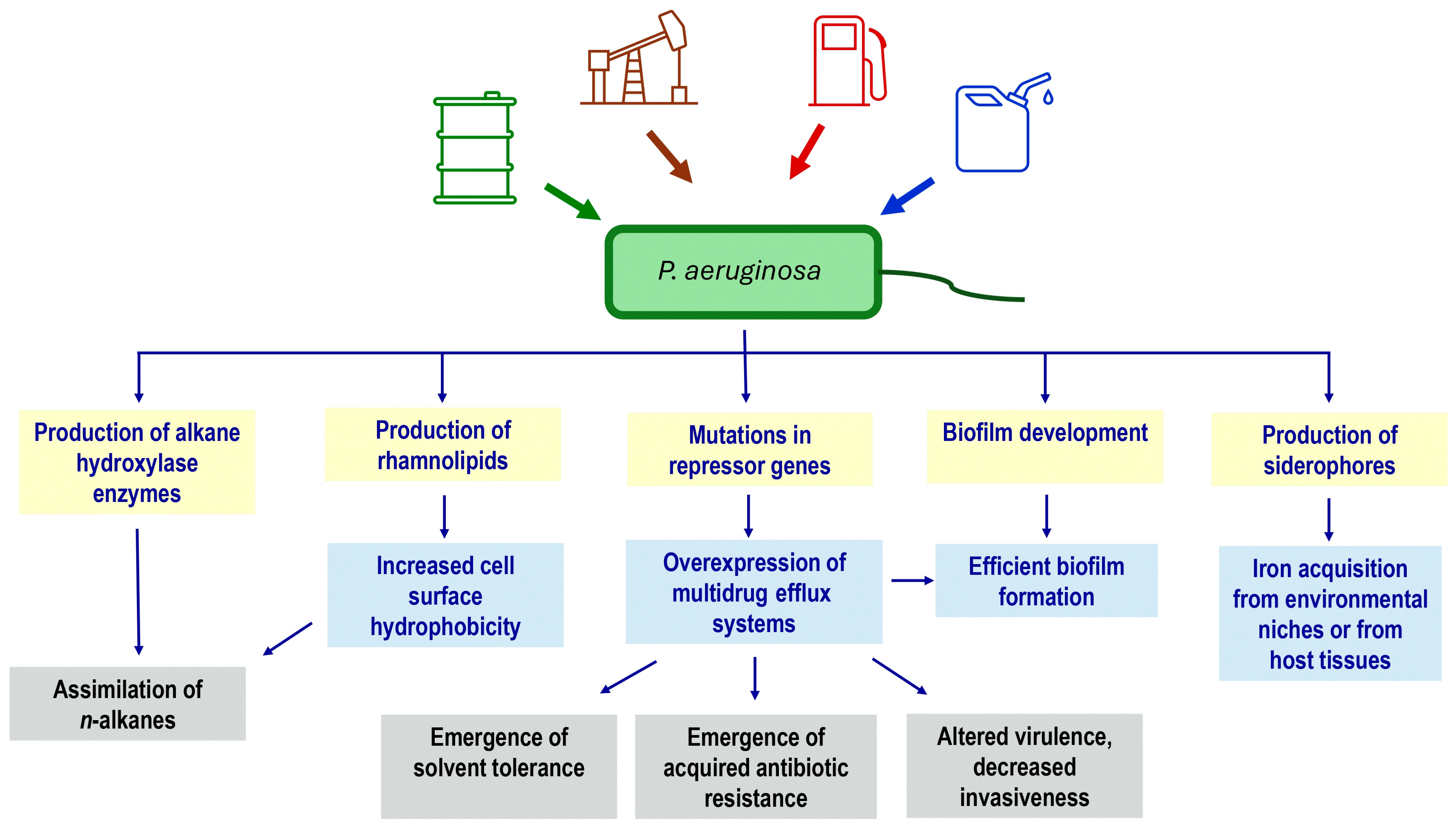 Antibiotics 13 01028 g004