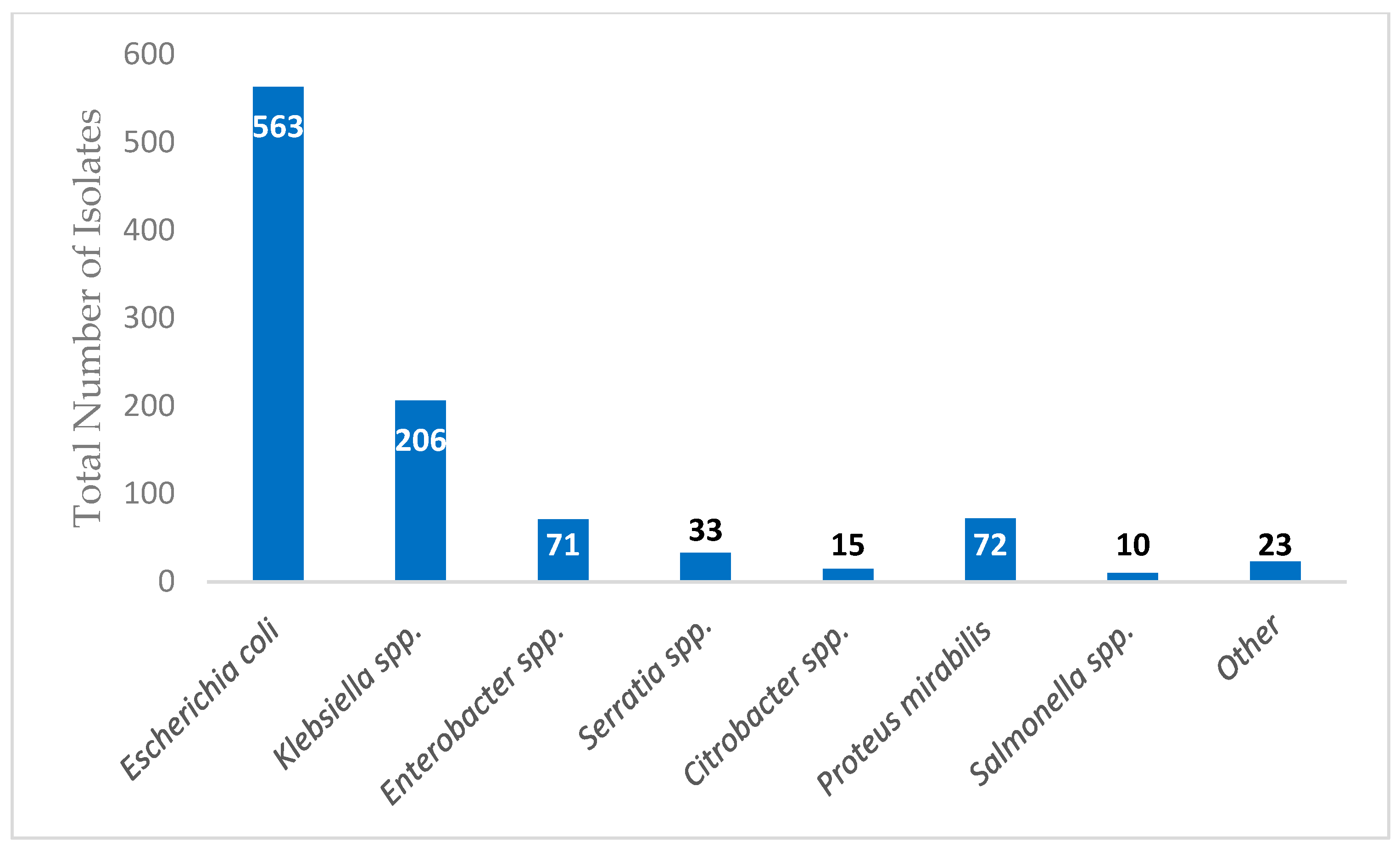 Antibiotics 13 01031 g001