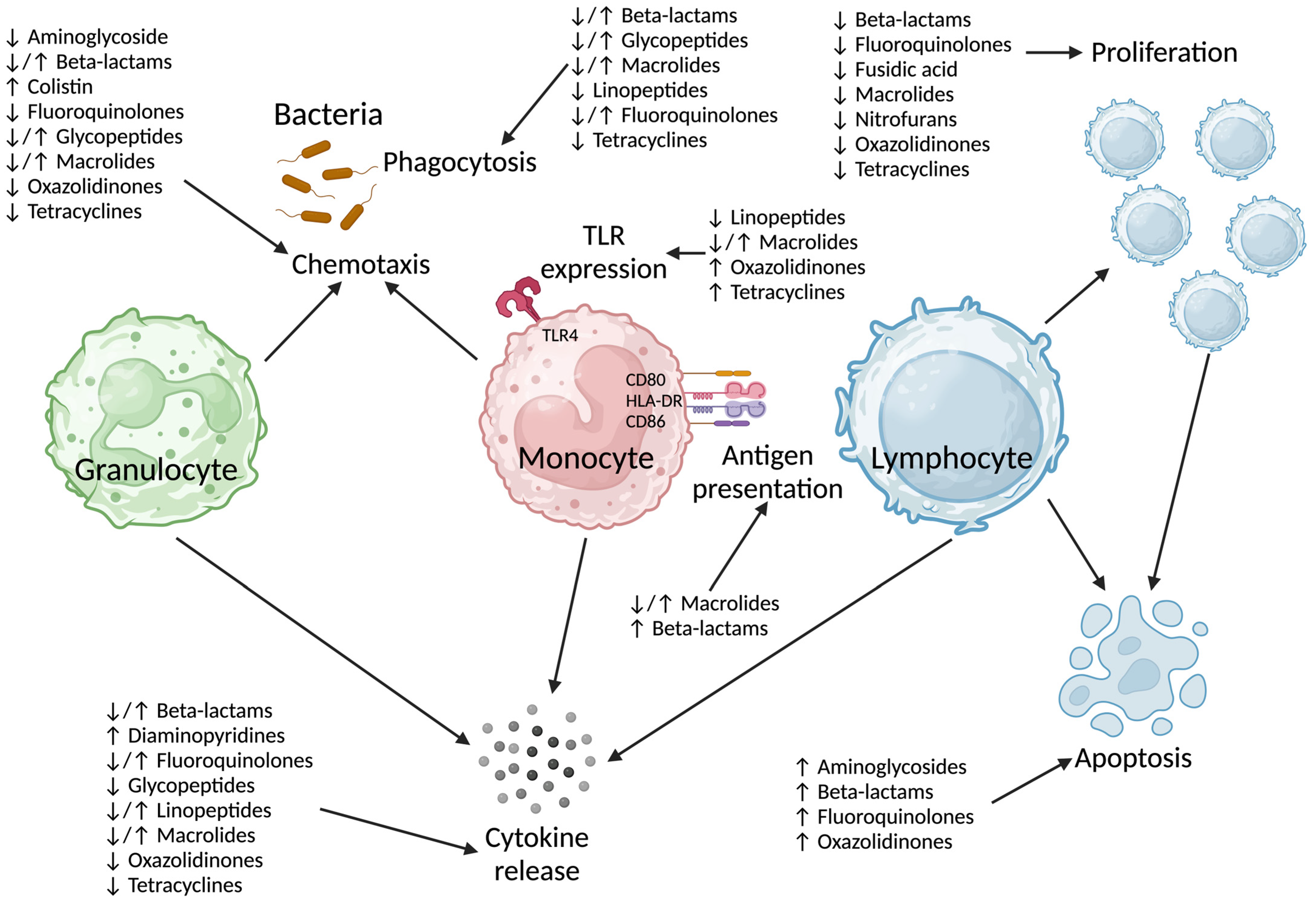 Antibiotics 13 01034 g001 Antibiotics 13 01034 g001
