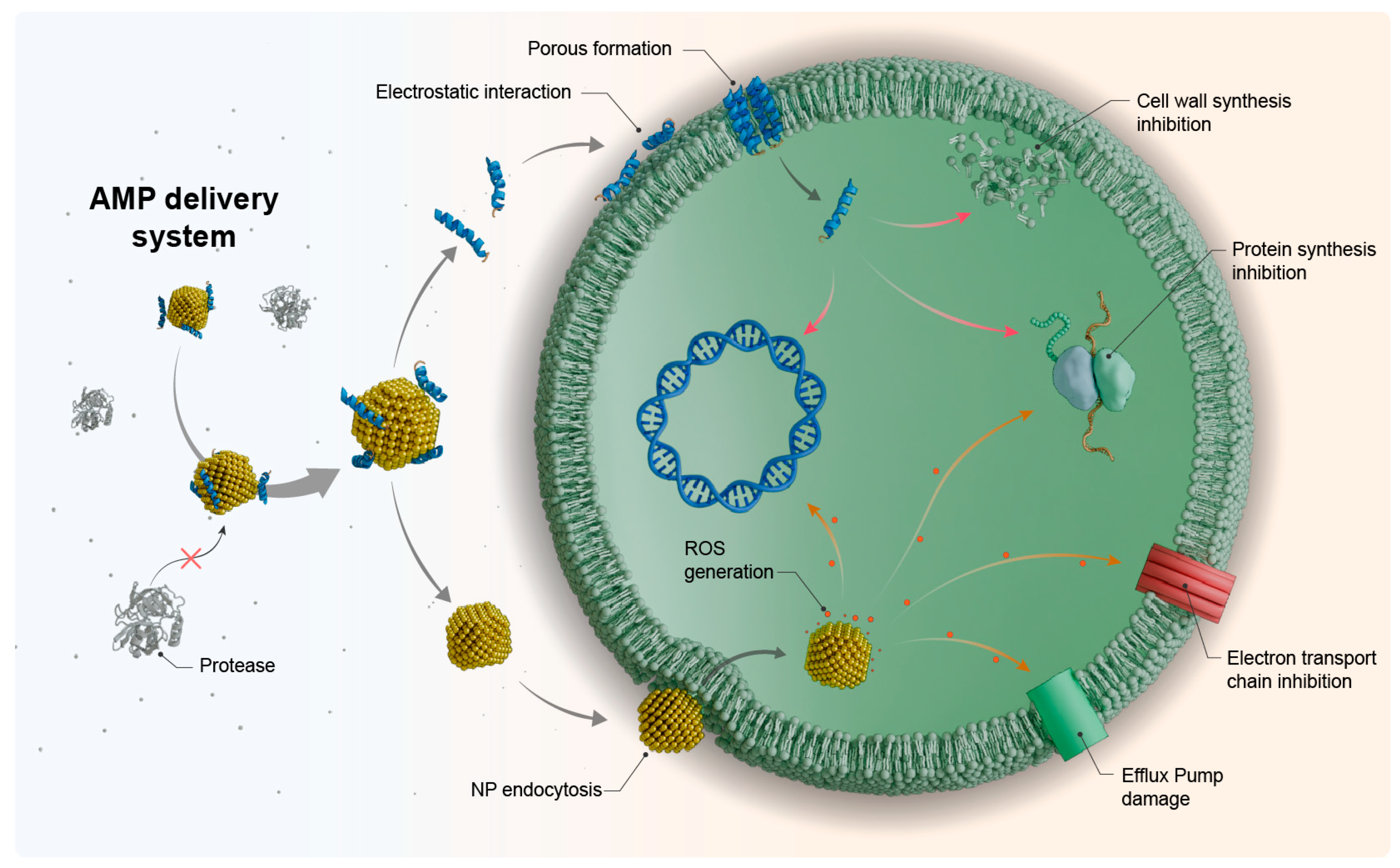 Antibiotics 13 01042 g001