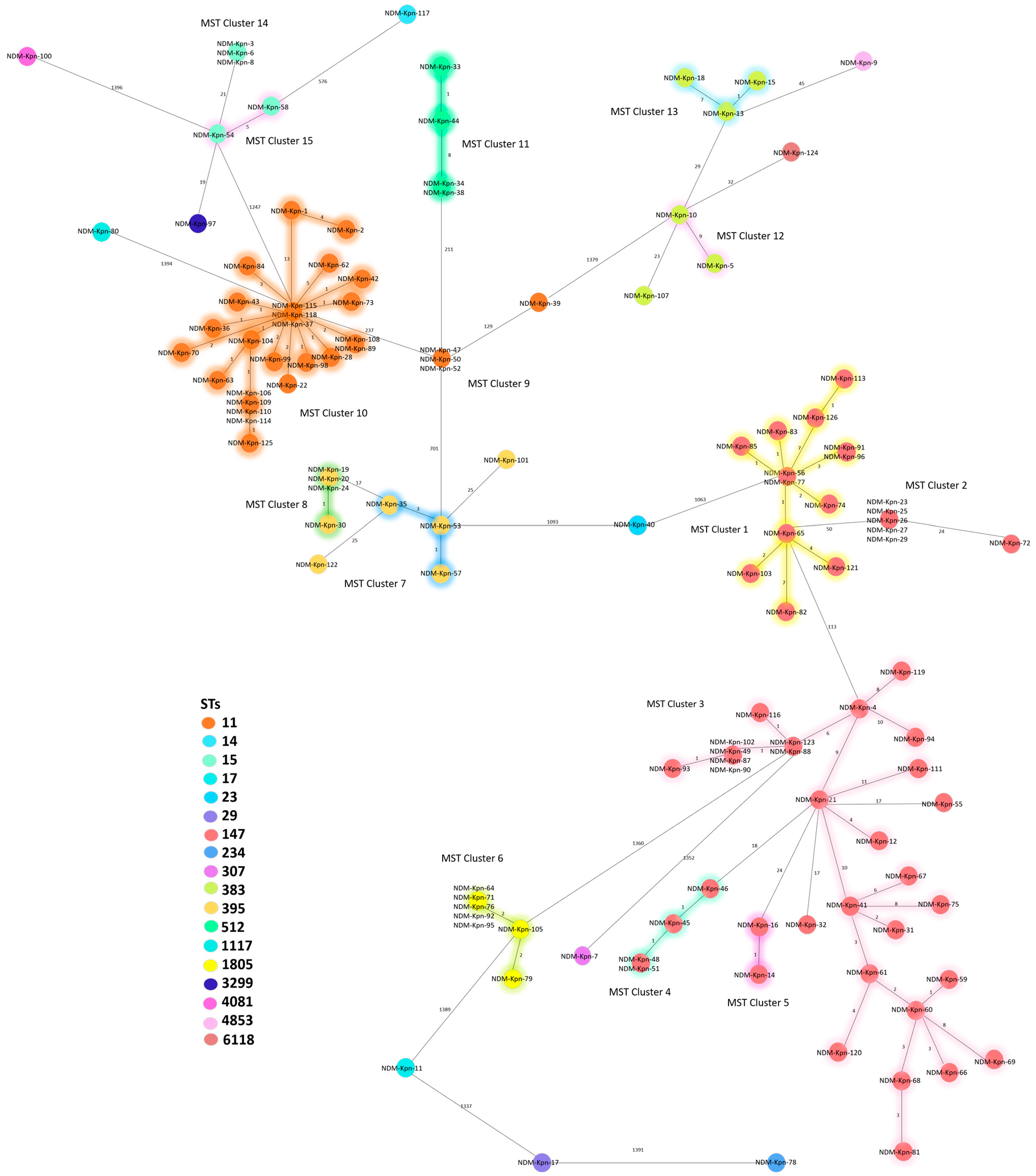 Antibiotics 13 01045 g001