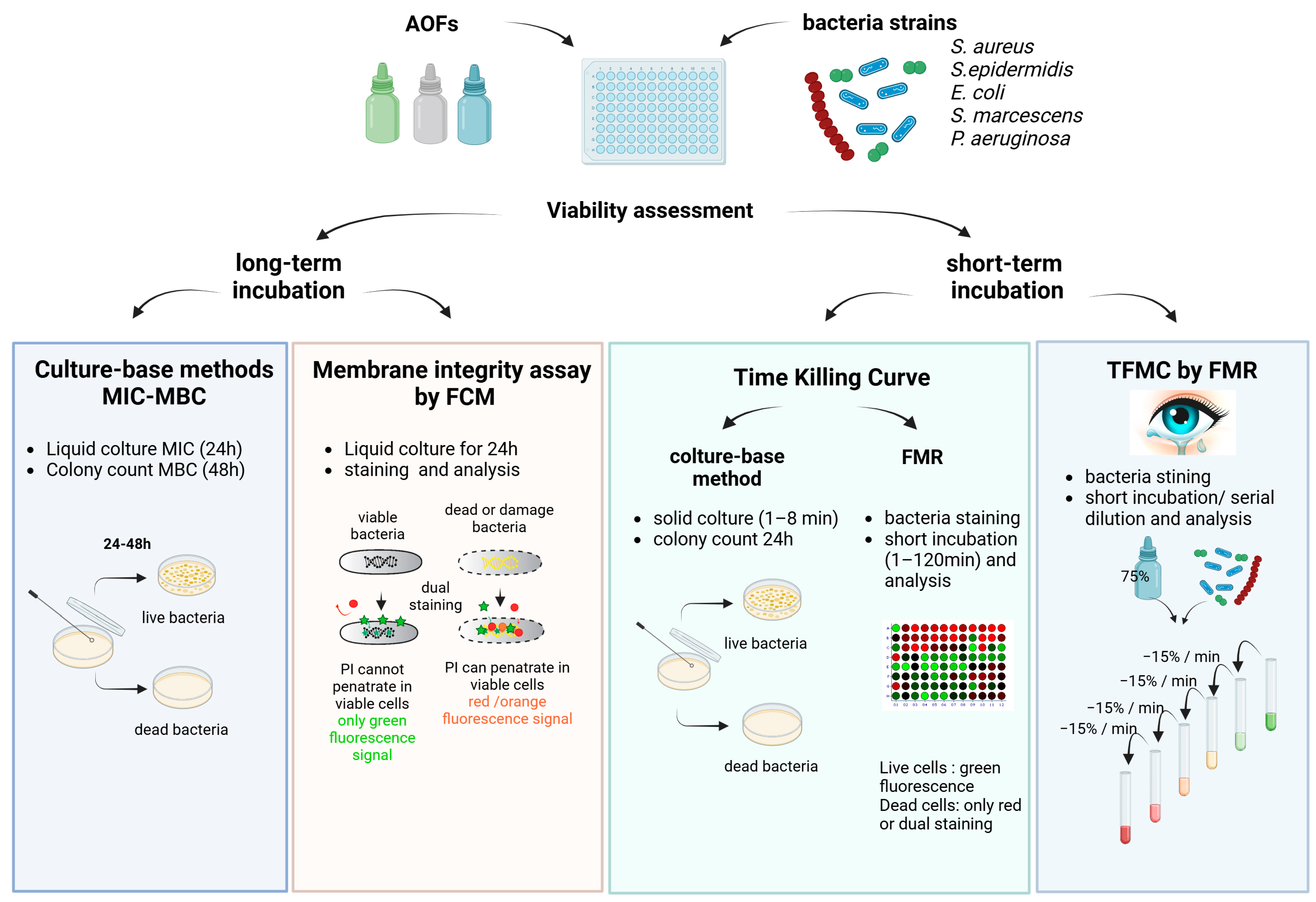 Antibiotics 13 01051 g001