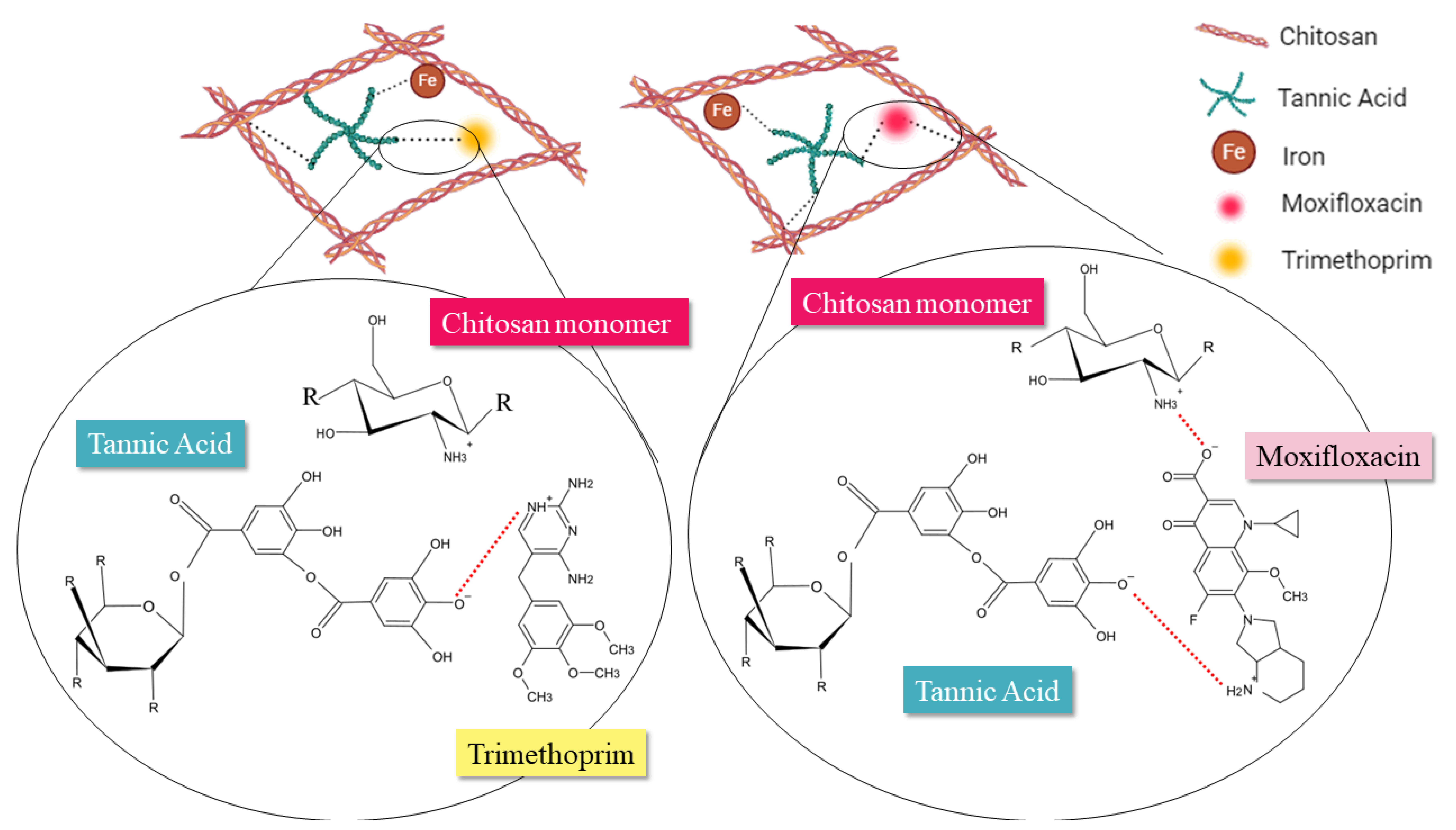 Antibiotics 13 01055 g002