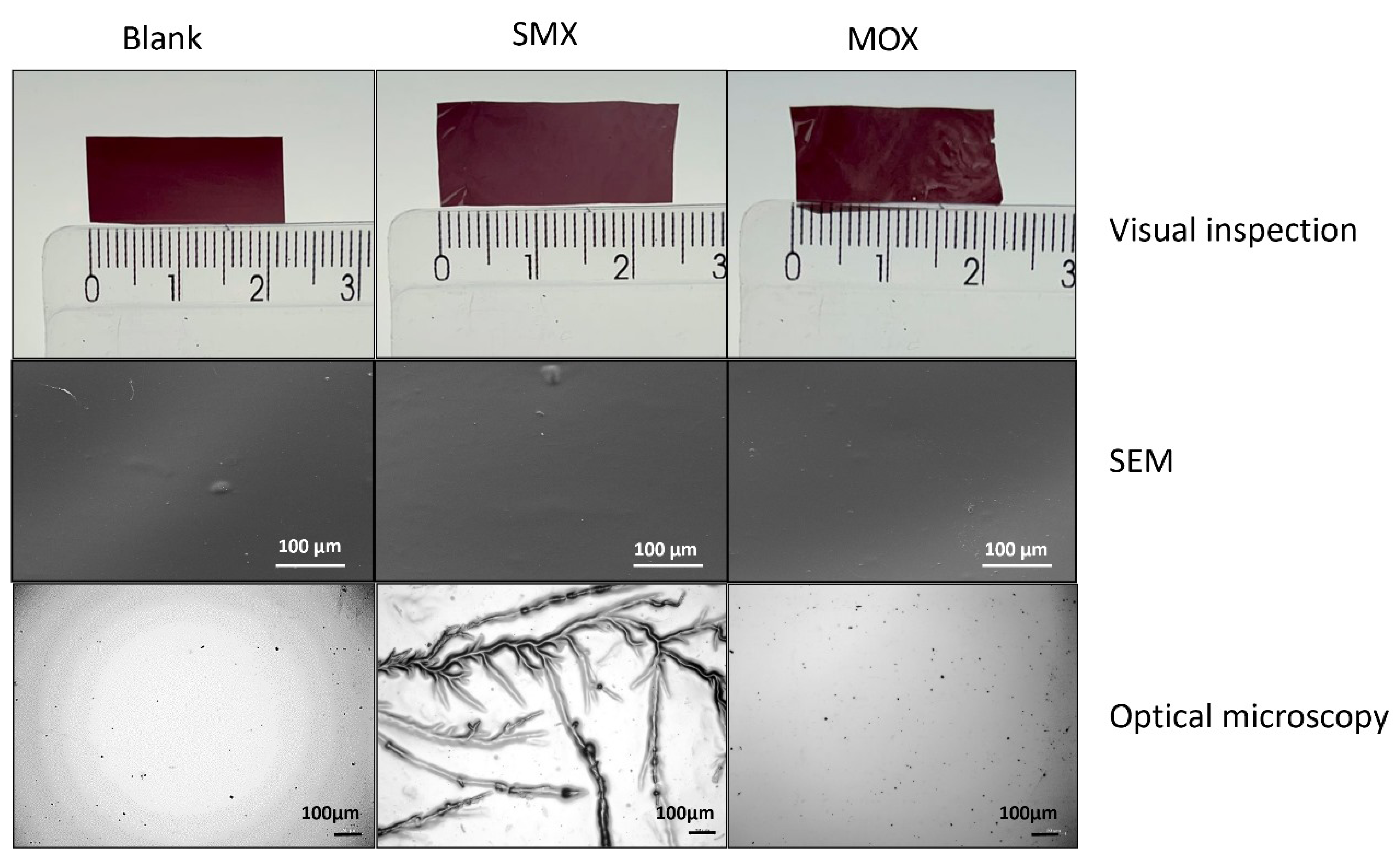 Antibiotics 13 01055 g003
