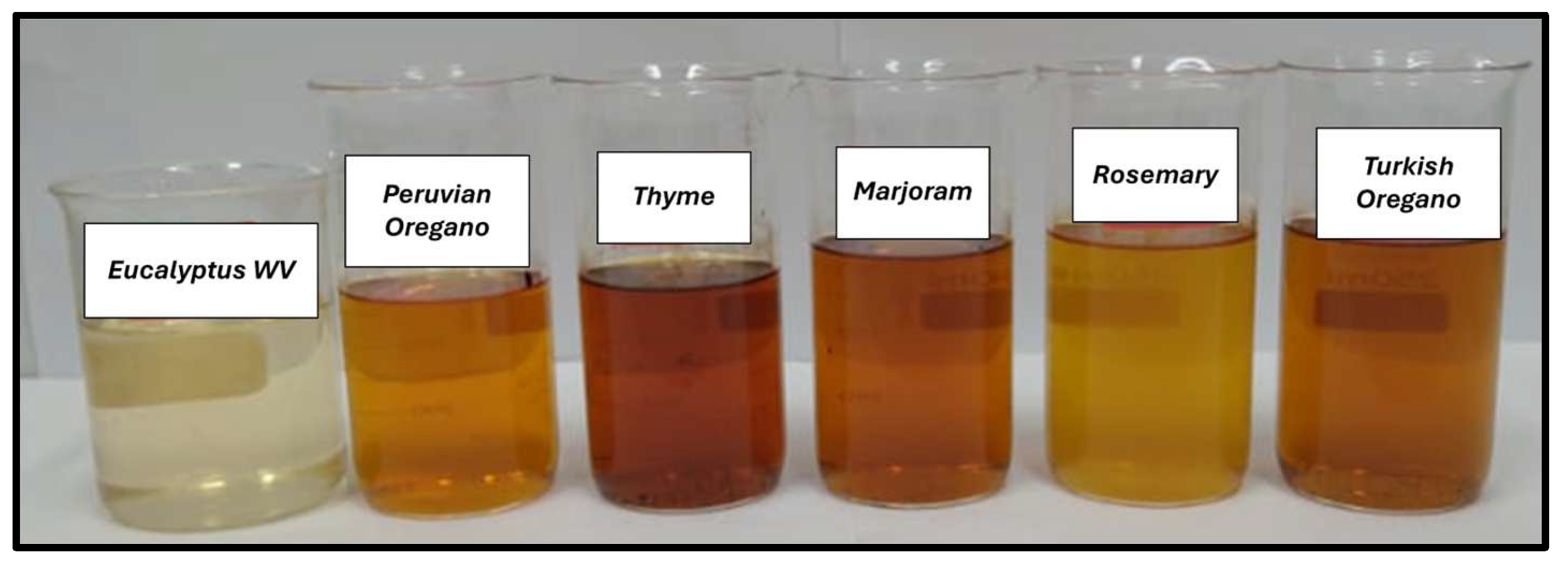 Antibiotics 13 01056 g001