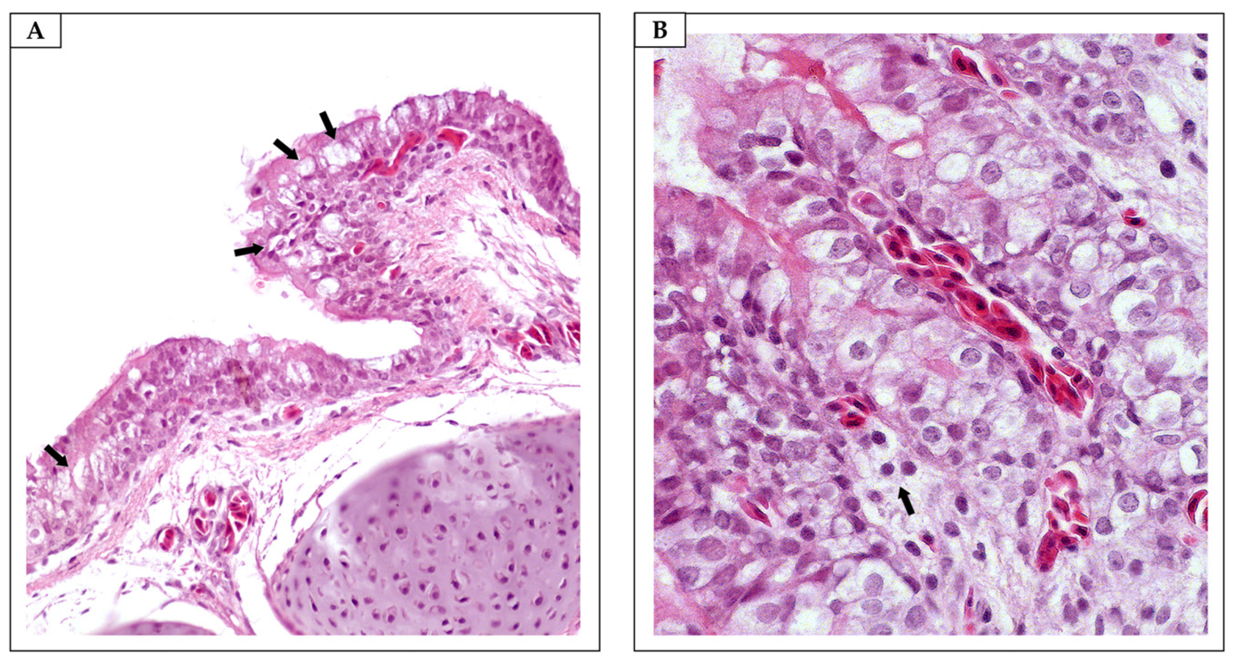 Antibiotics 13 01066 g006