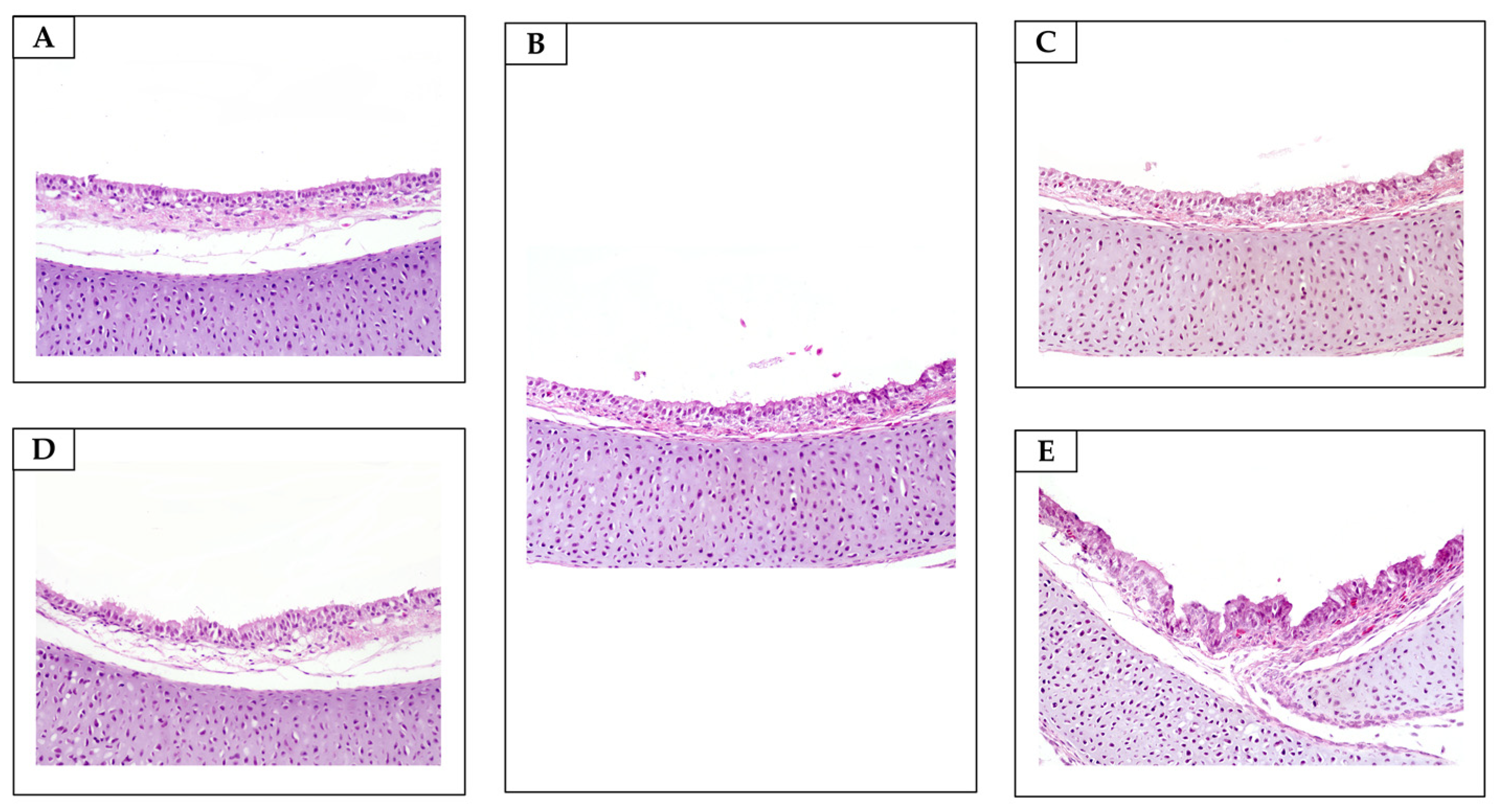 Antibiotics 13 01066 g008