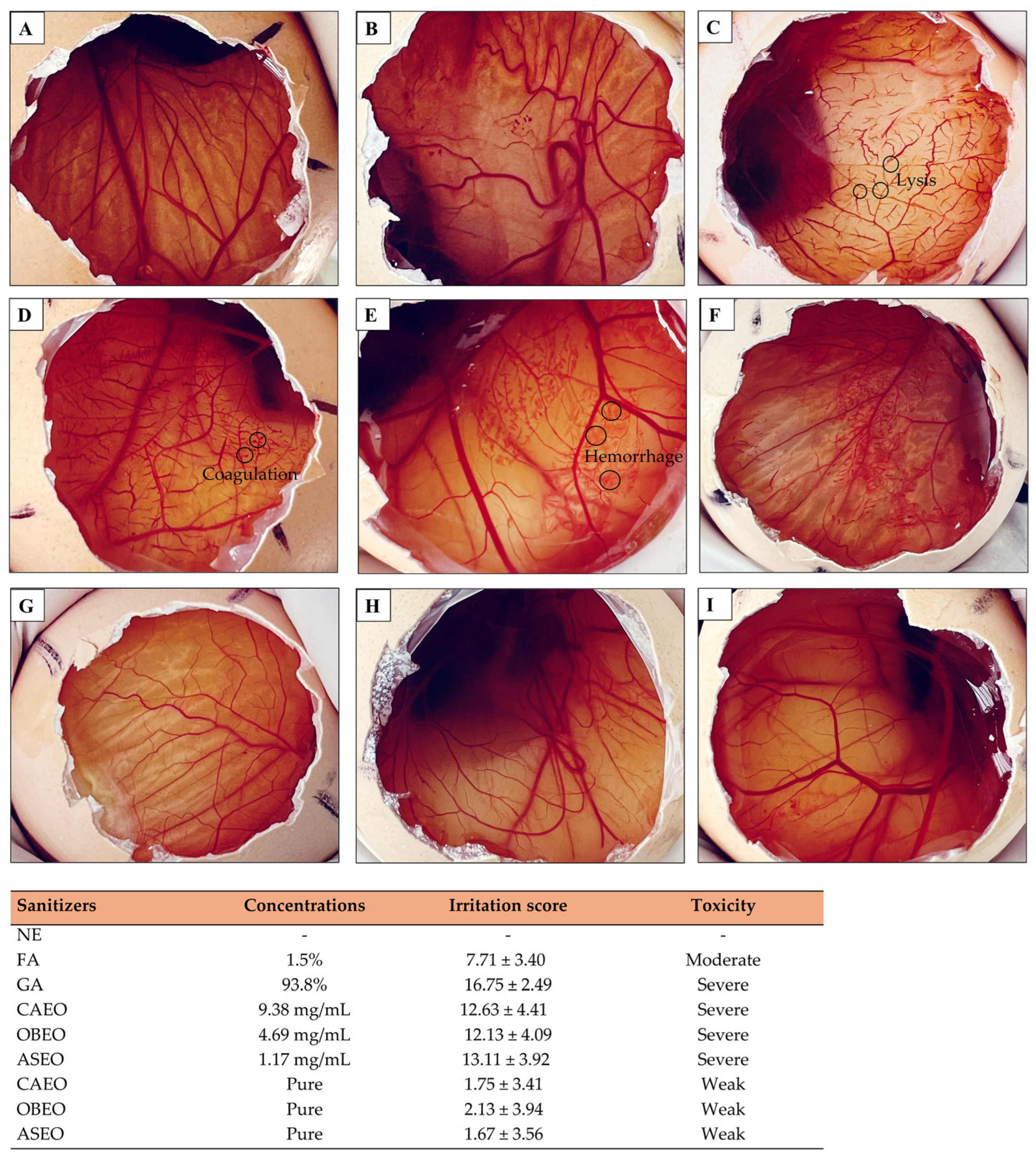Antibiotics 13 01066 g009