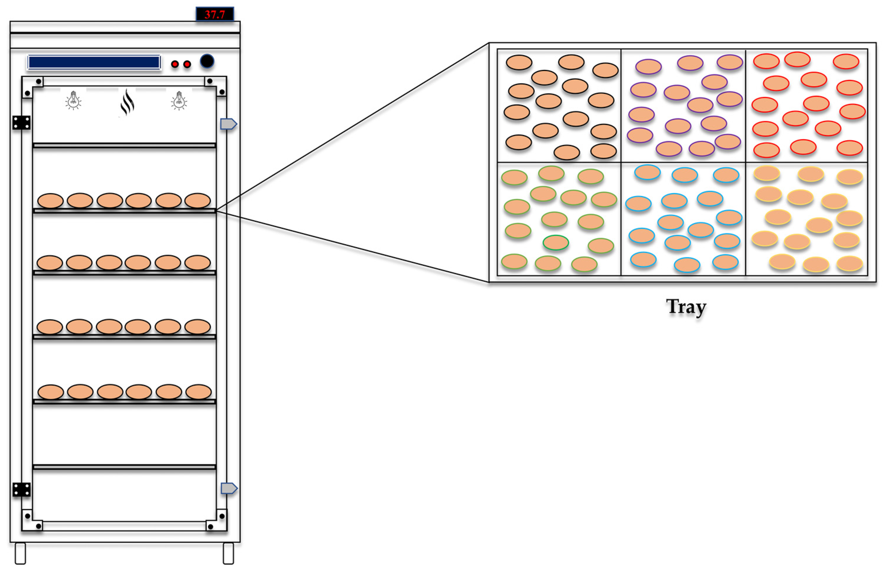 Antibiotics 13 01066 g012