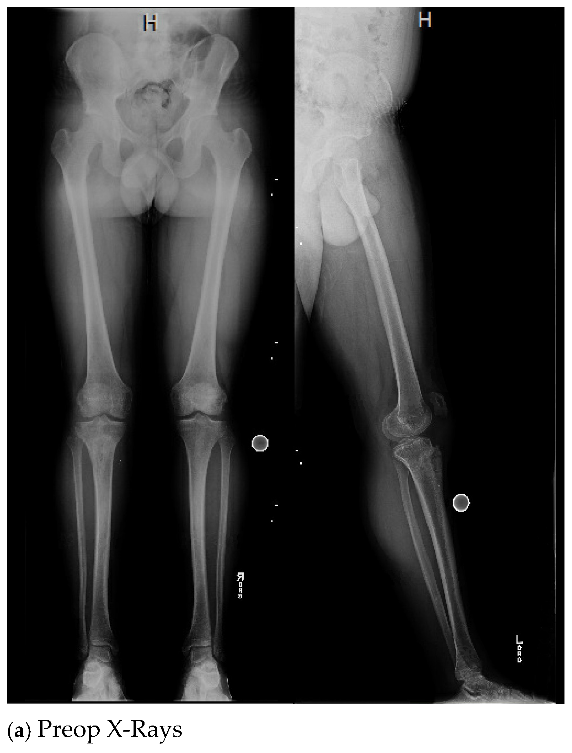 Antibiotics 13 01068 g001a