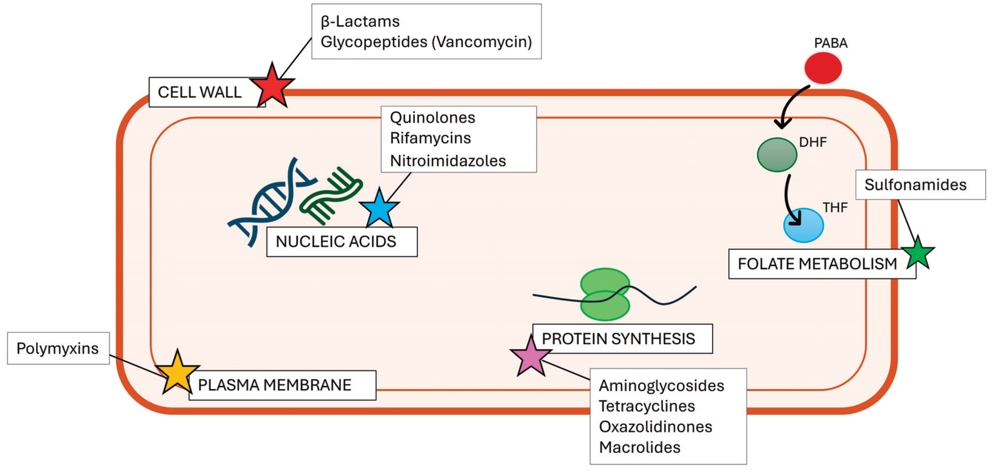 Antibiotics 13 01071 g001
