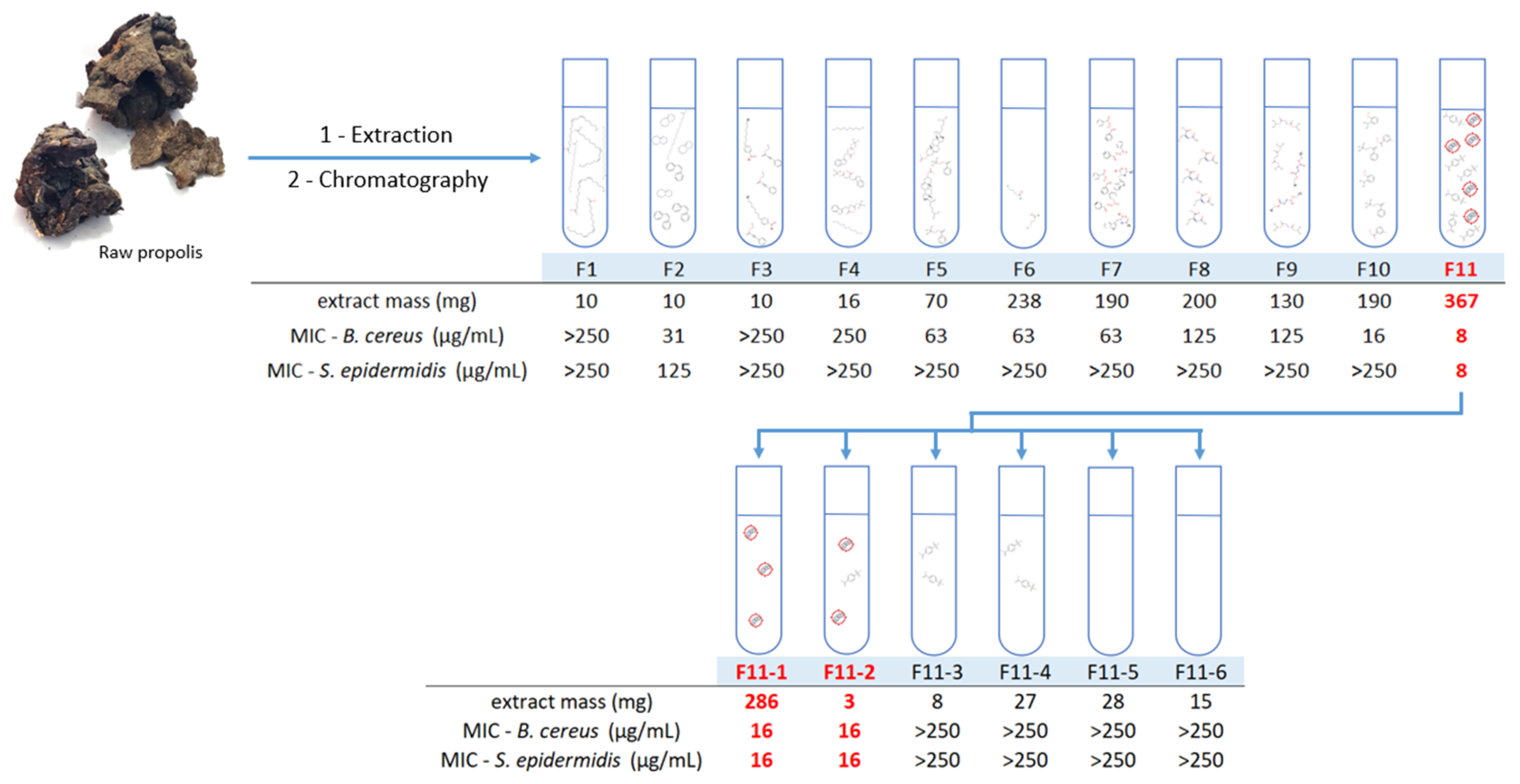 Antibiotics 13 01080 g001