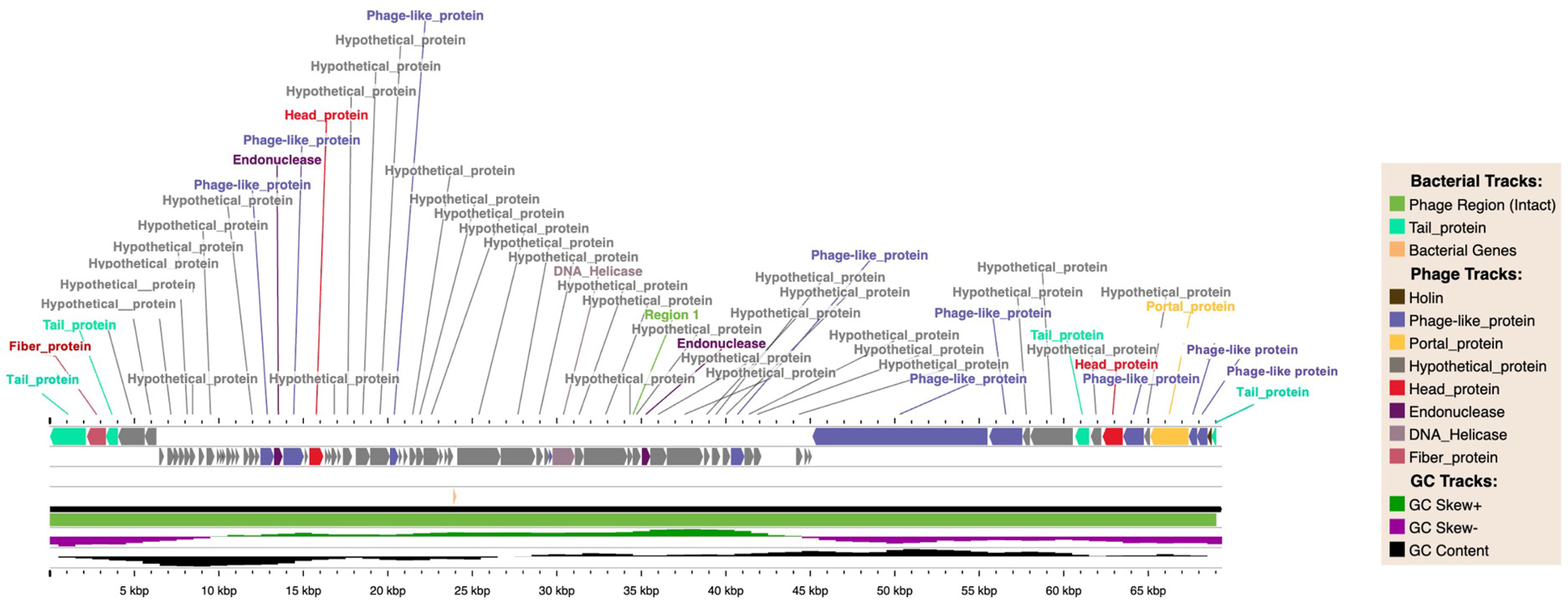 Antibiotics 13 01083 g005