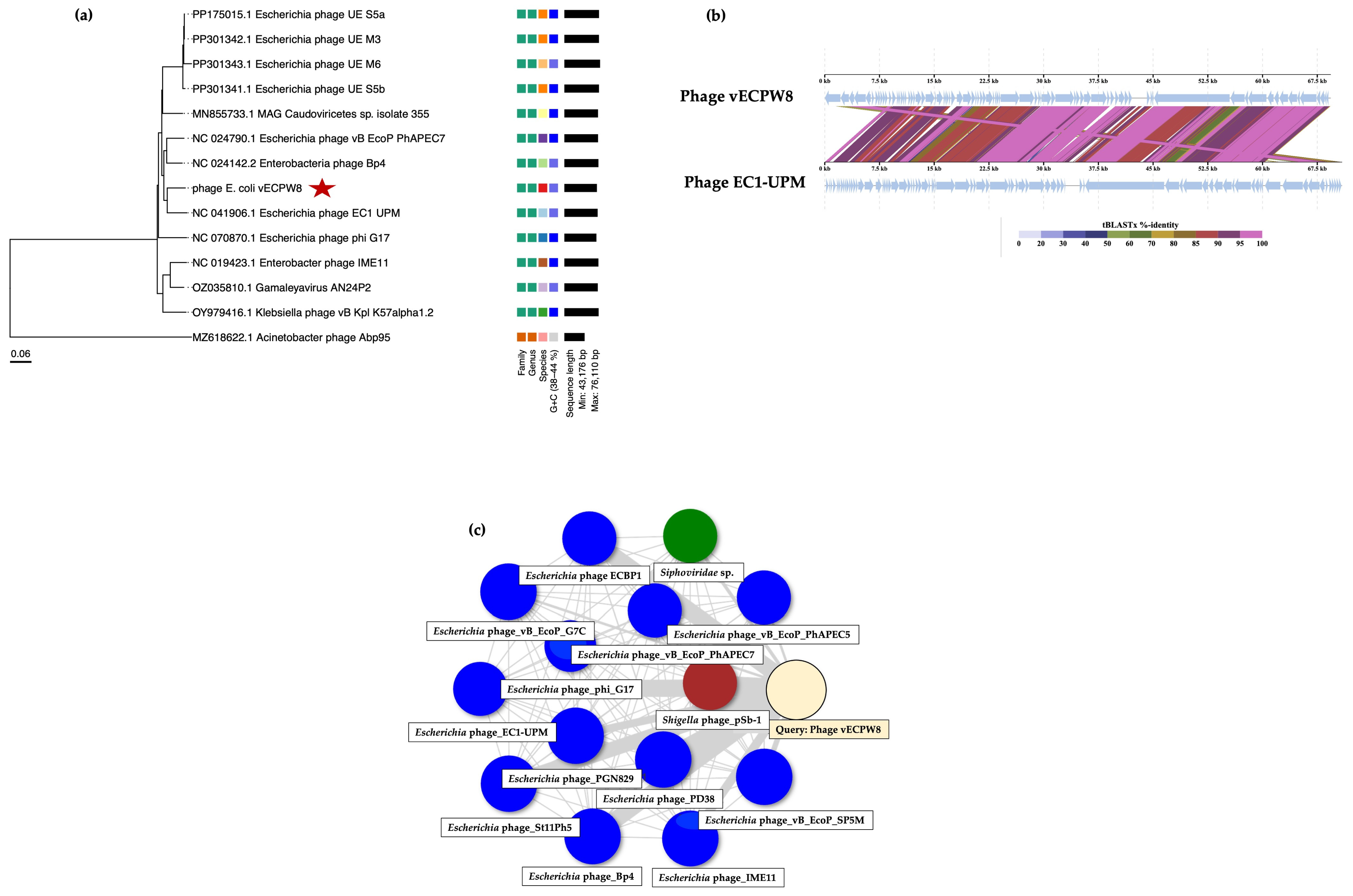 Antibiotics 13 01083 g006