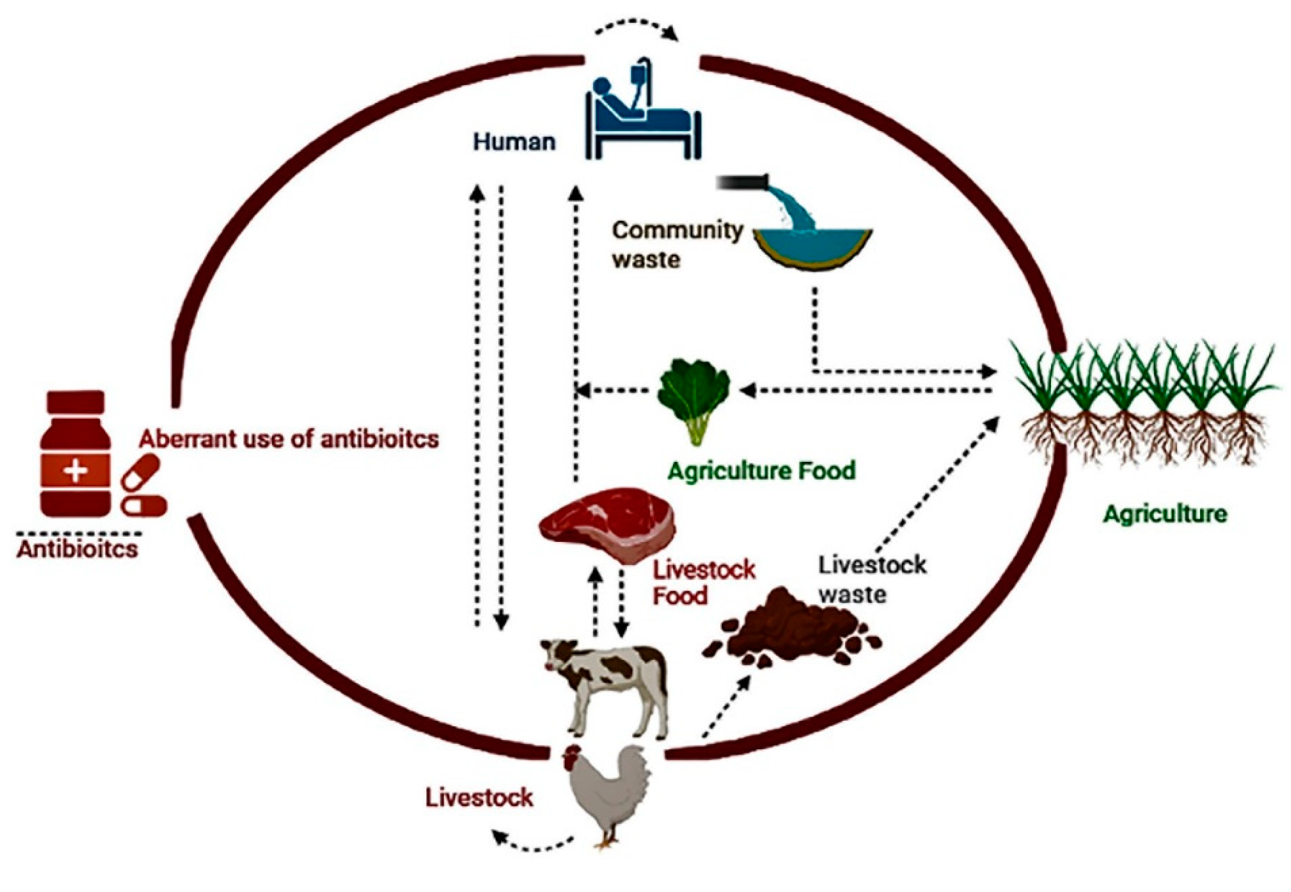 Antibiotics 13 01087 g002