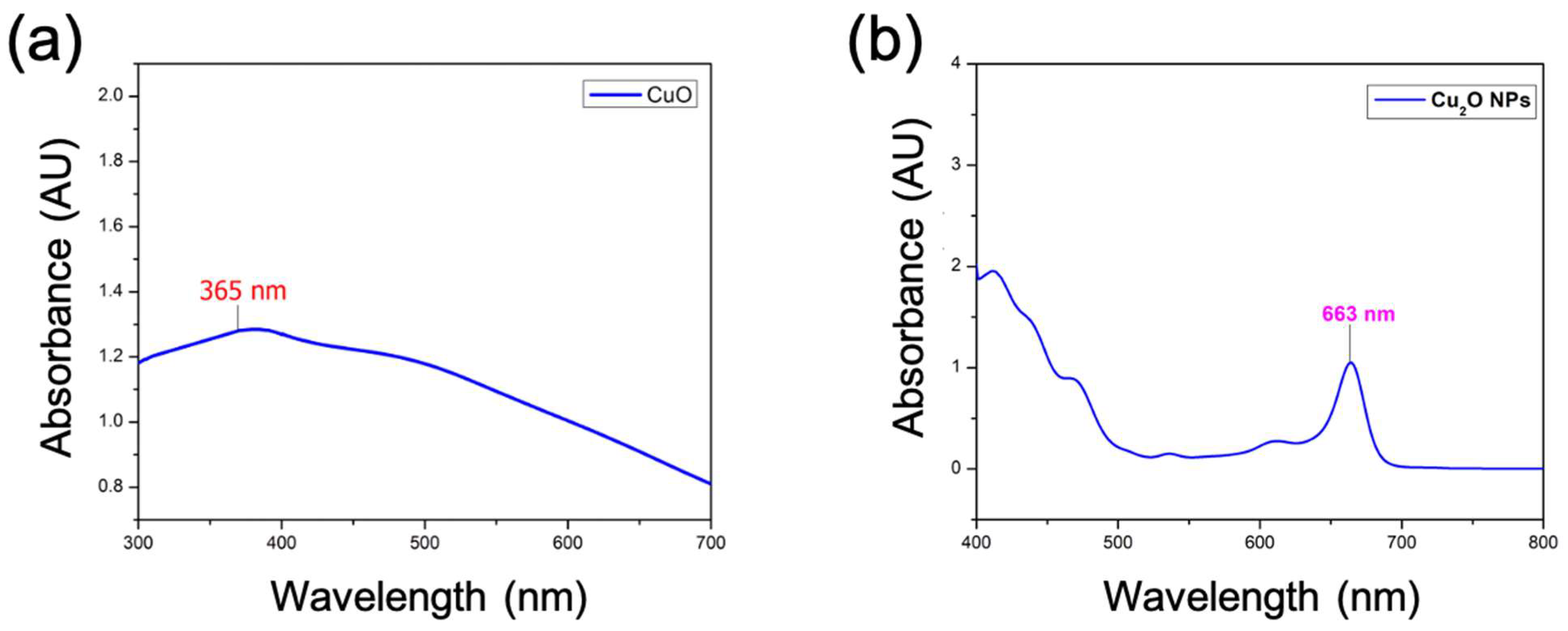 Antibiotics 13 01088 g001