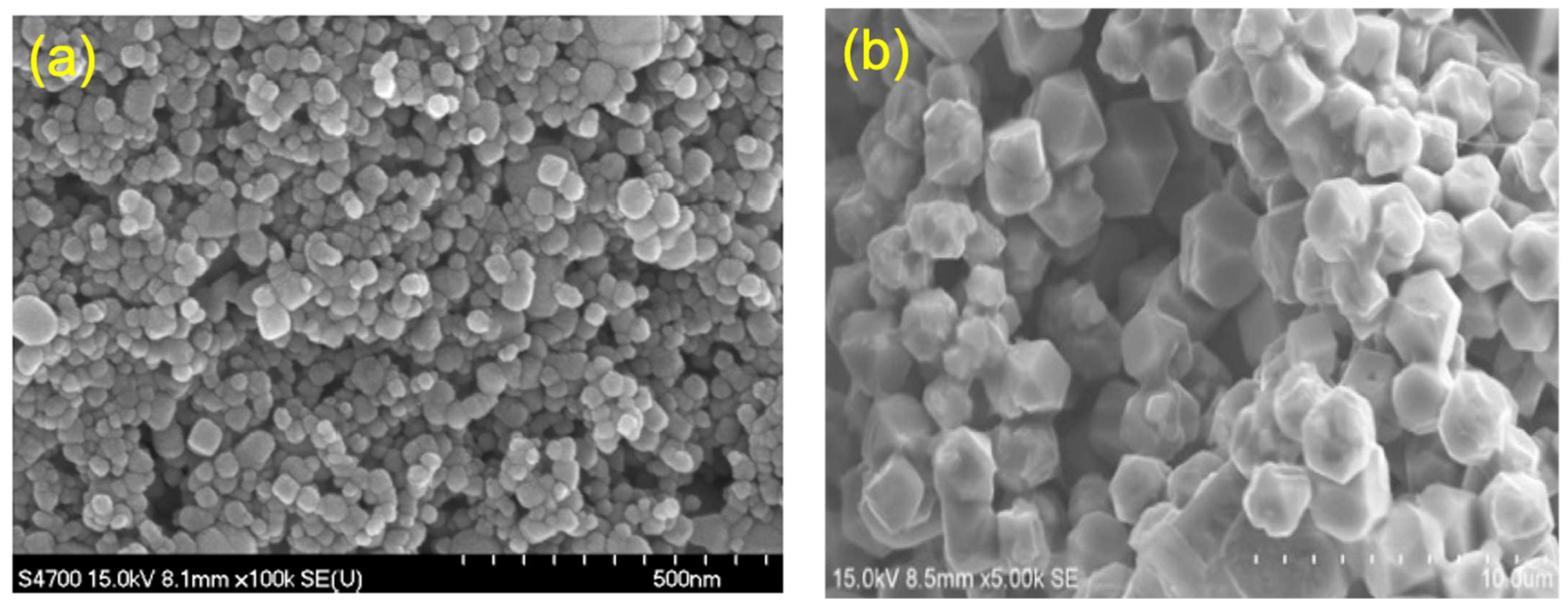 Antibiotics 13 01088 g003