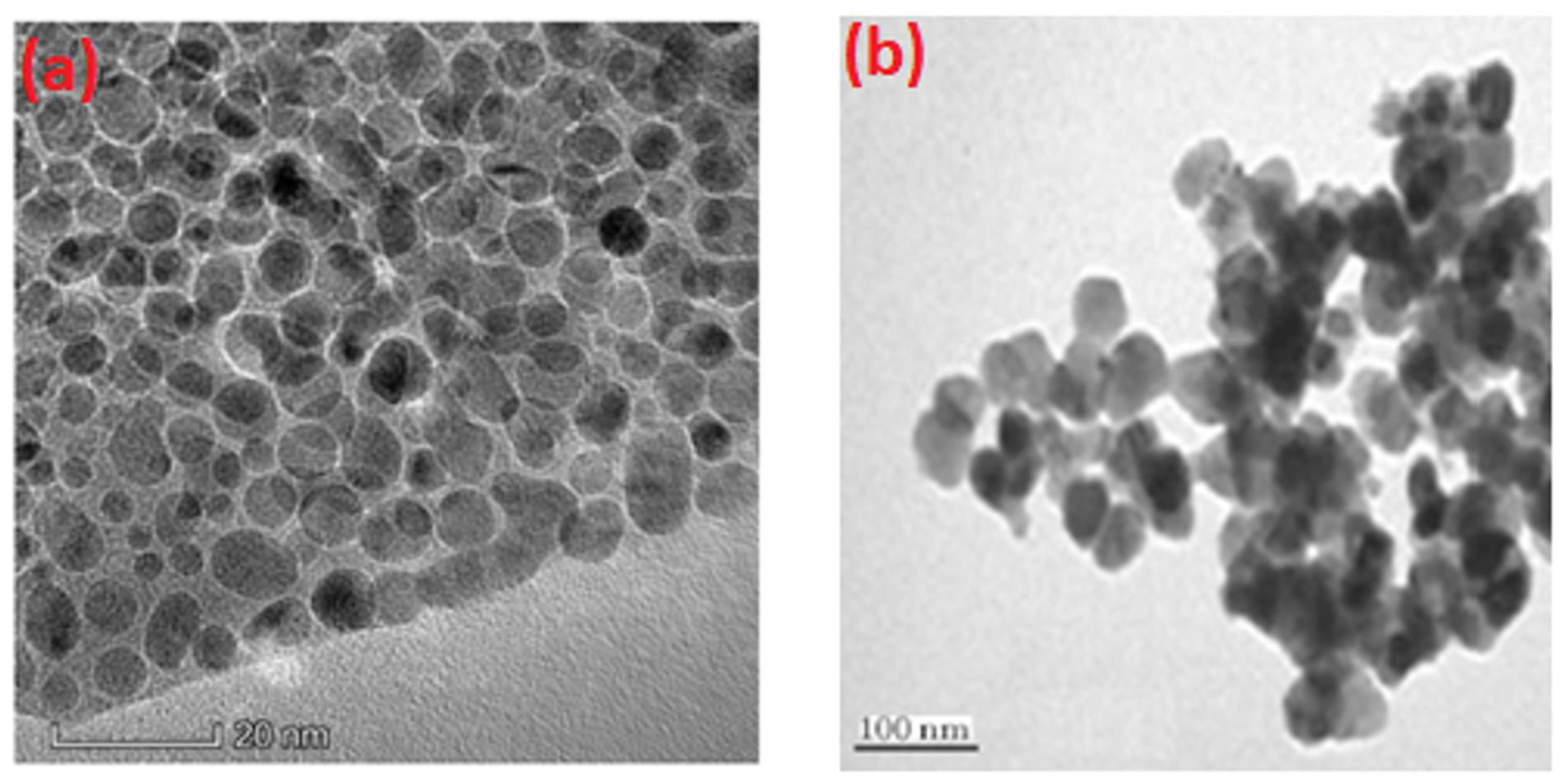 Antibiotics 13 01088 g005