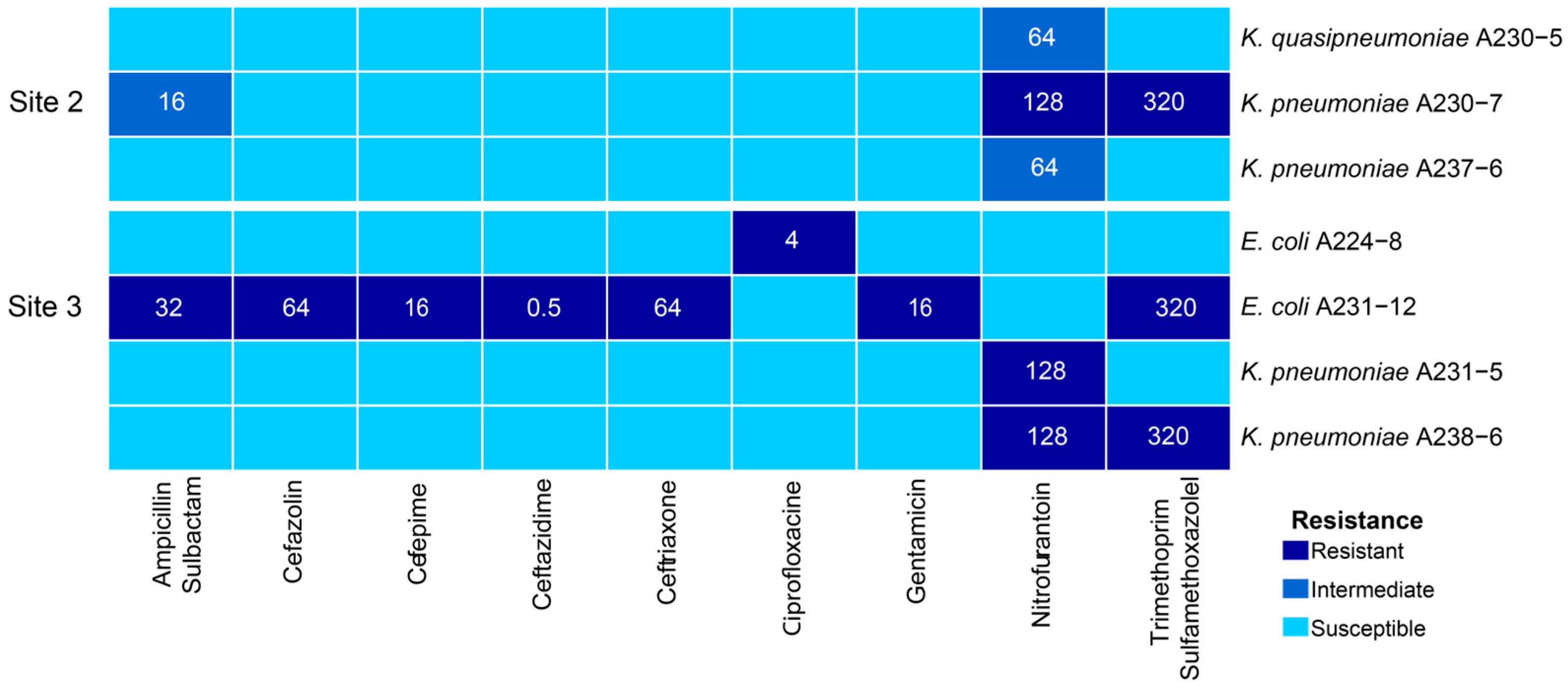 Antibiotics 13 01089 g002