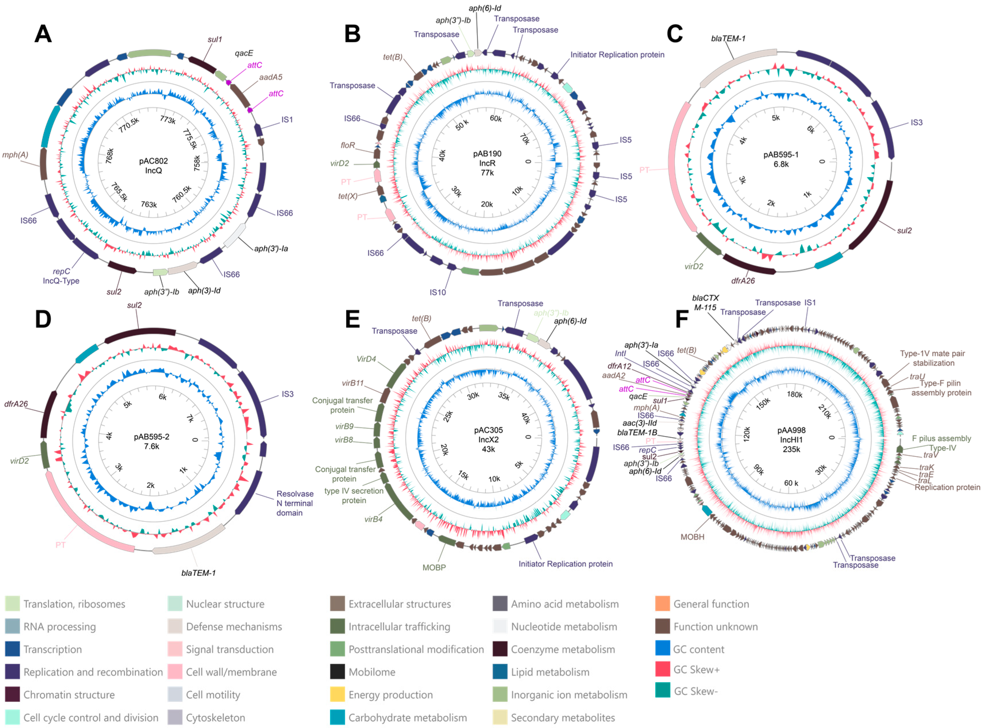 Antibiotics 13 01089 g004