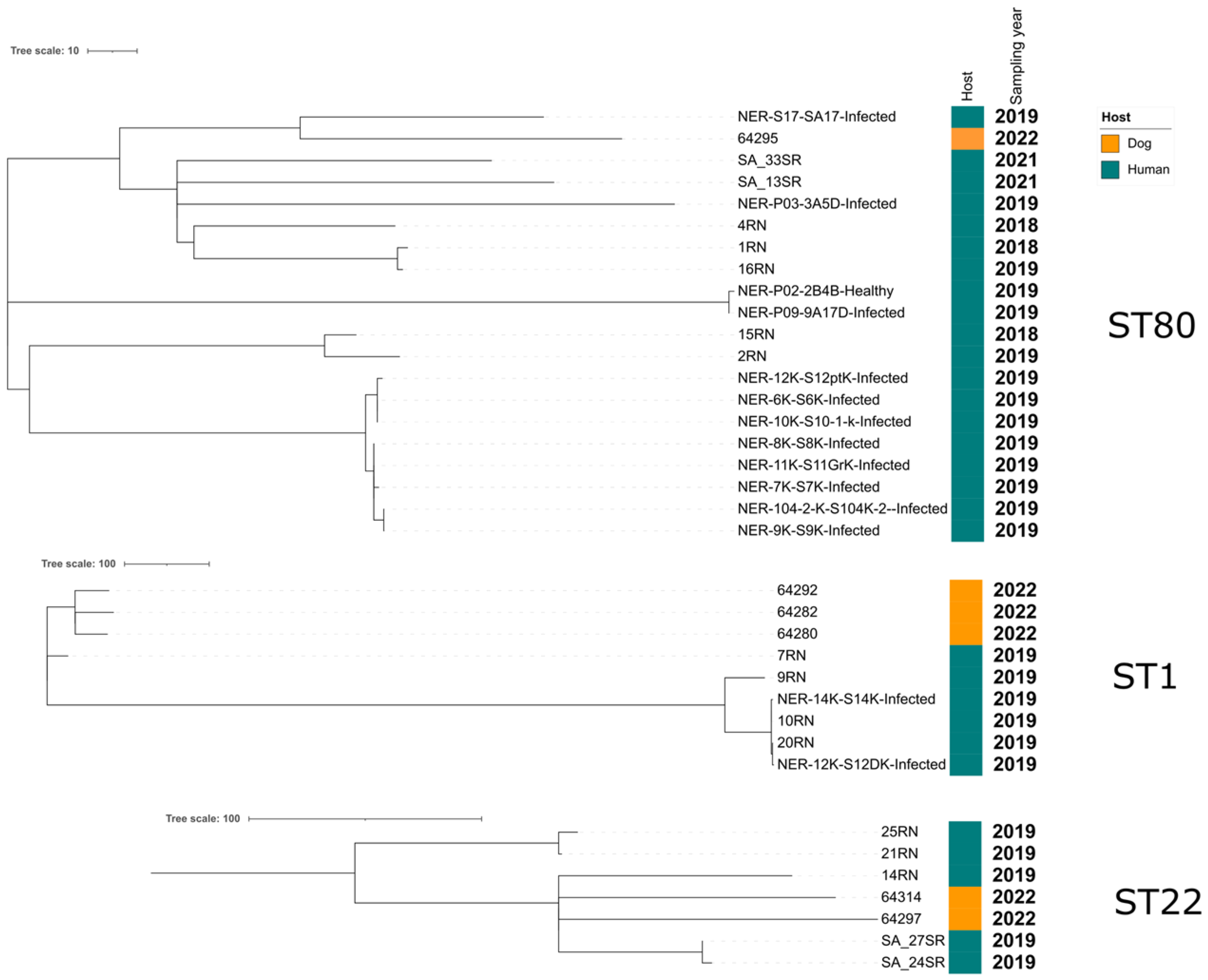 Antibiotics 13 01090 g001