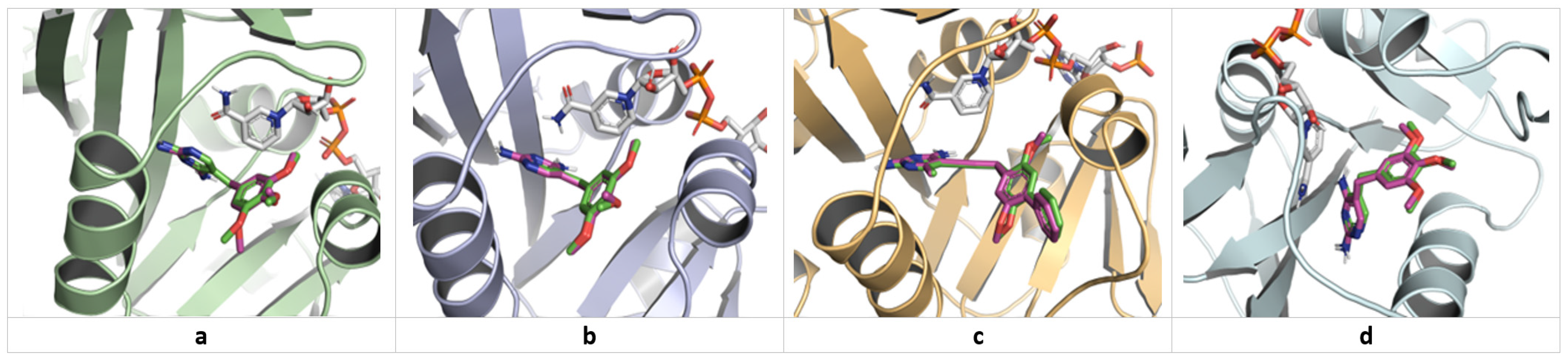 Antibiotics 13 01092 g002