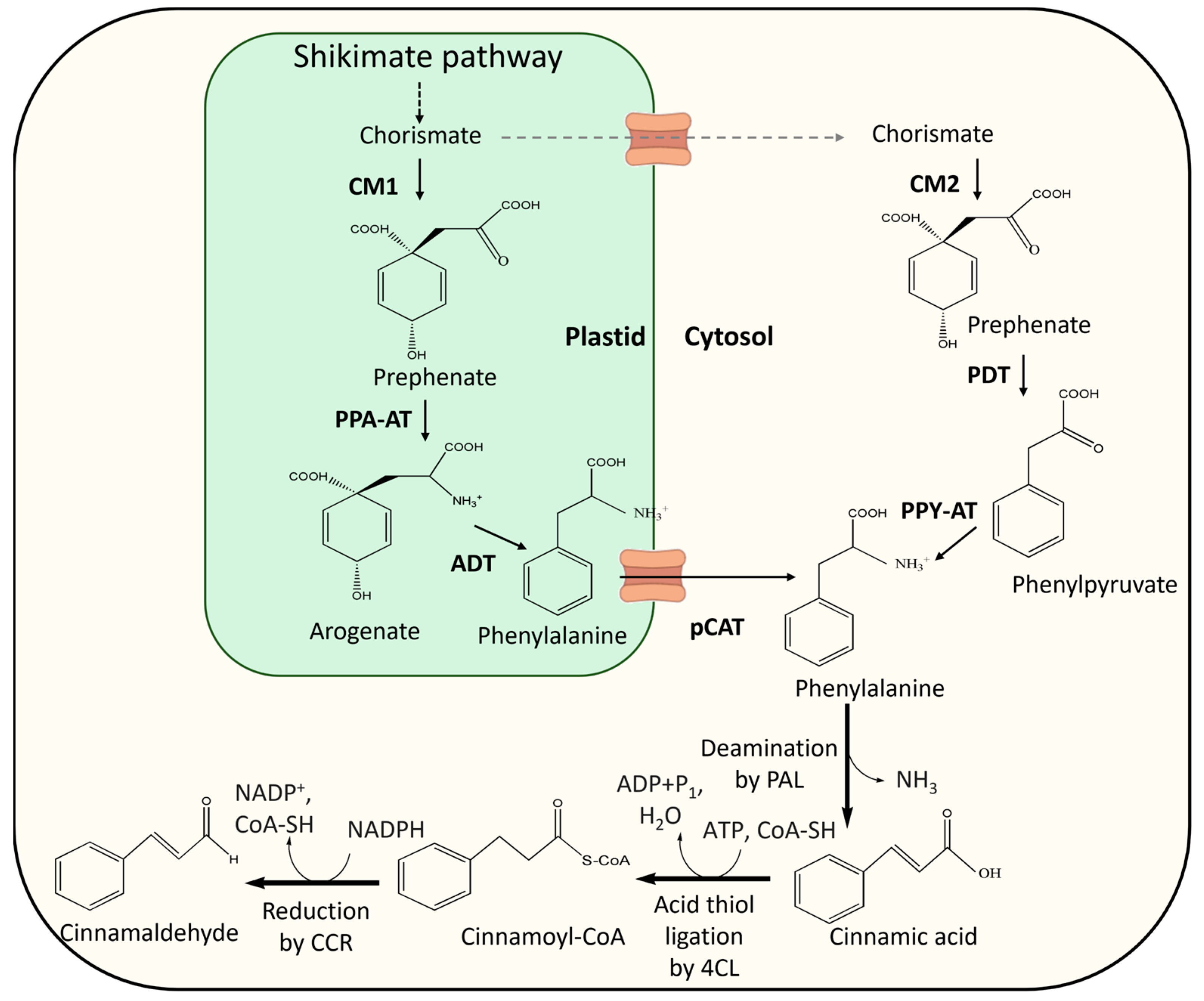 Antibiotics 13 01095 g005