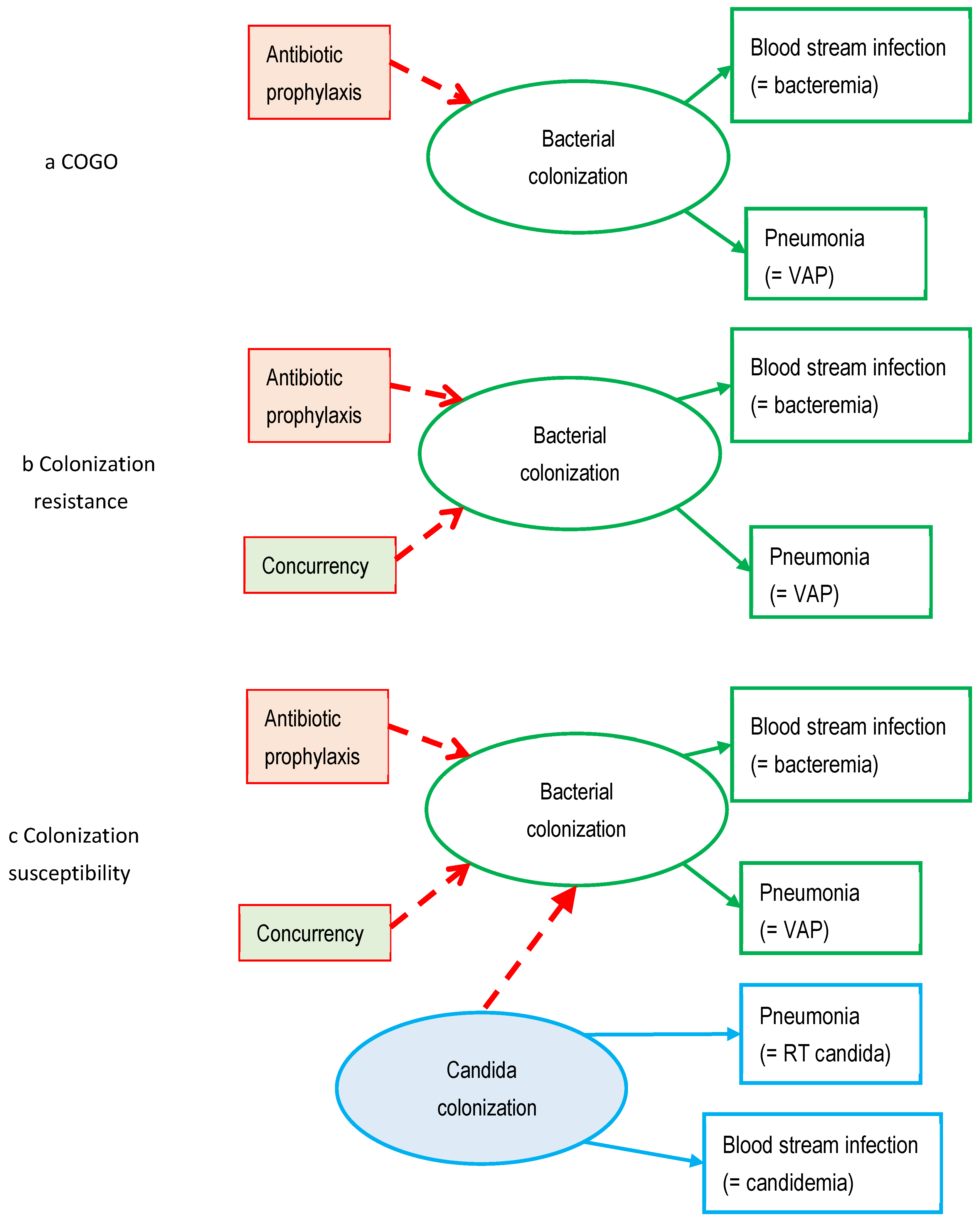 Antibiotics 13 01096 g001