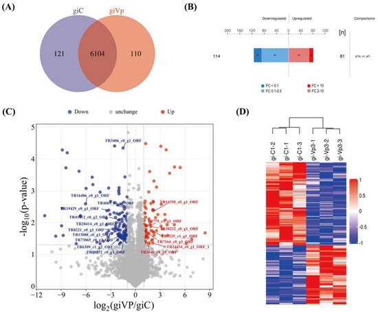 Proteomic Analysis of Vibrio parahaemolyticus-Stimulated
