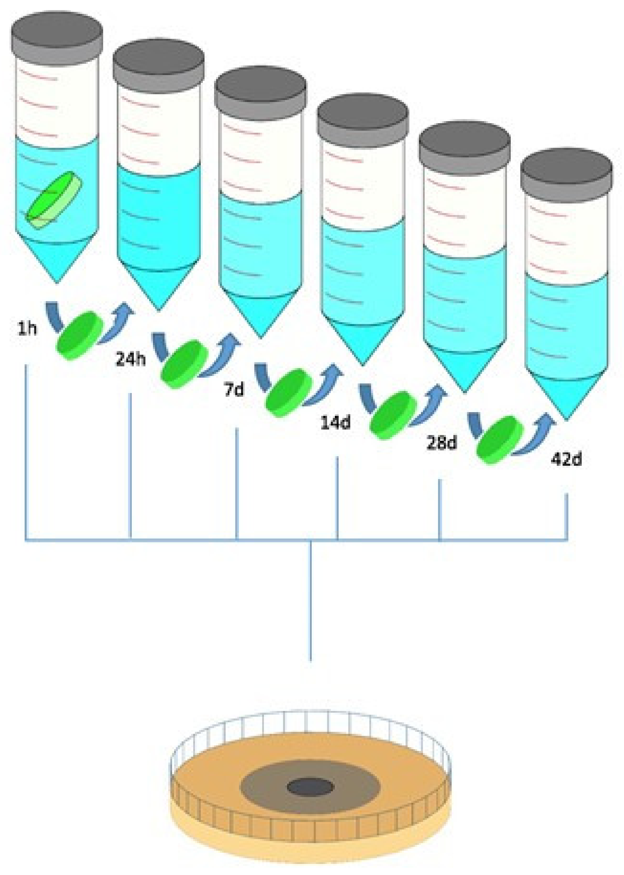 Antibiotics 13 01102 g010