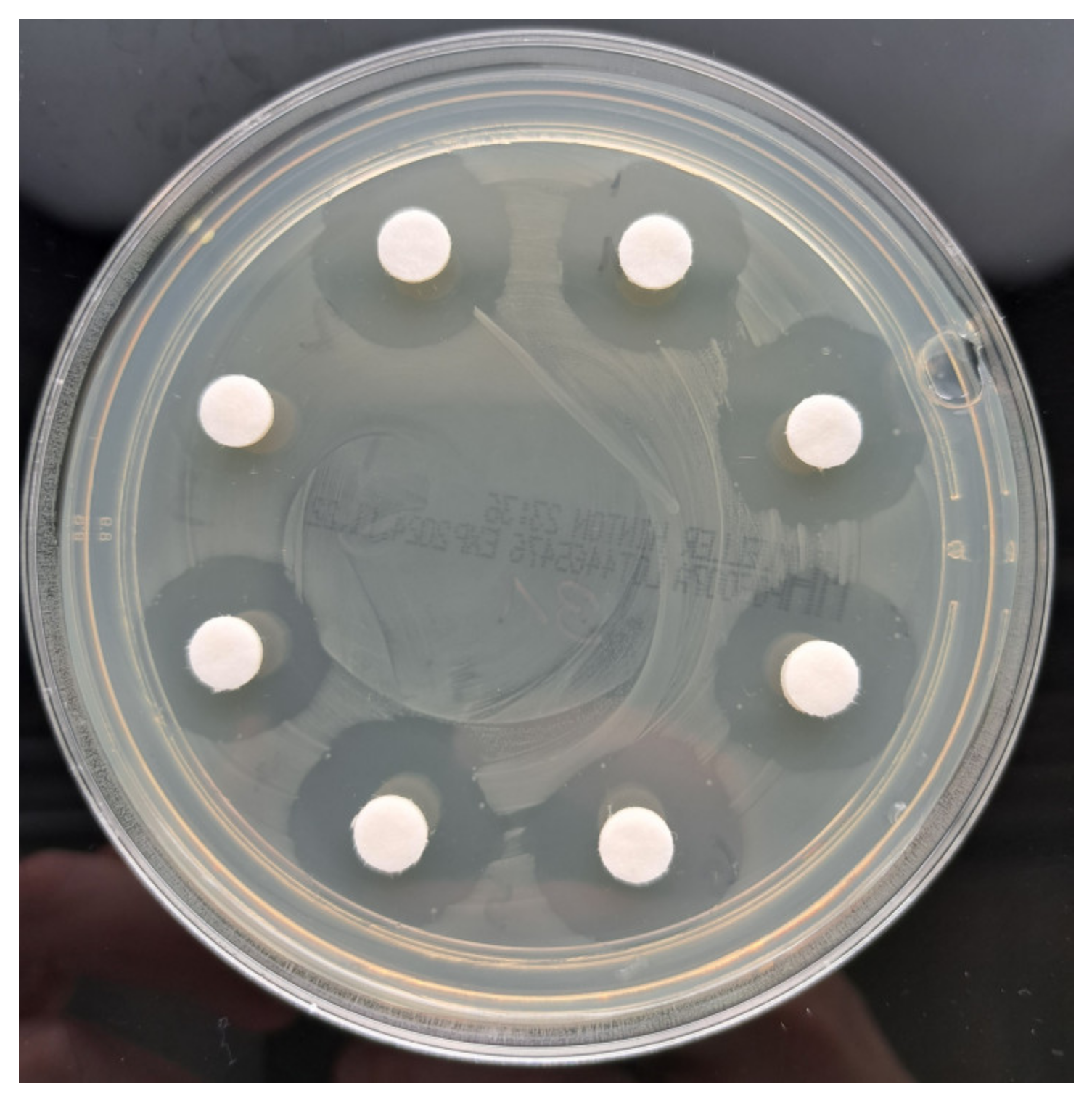 Antibiotics 13 01102 g011