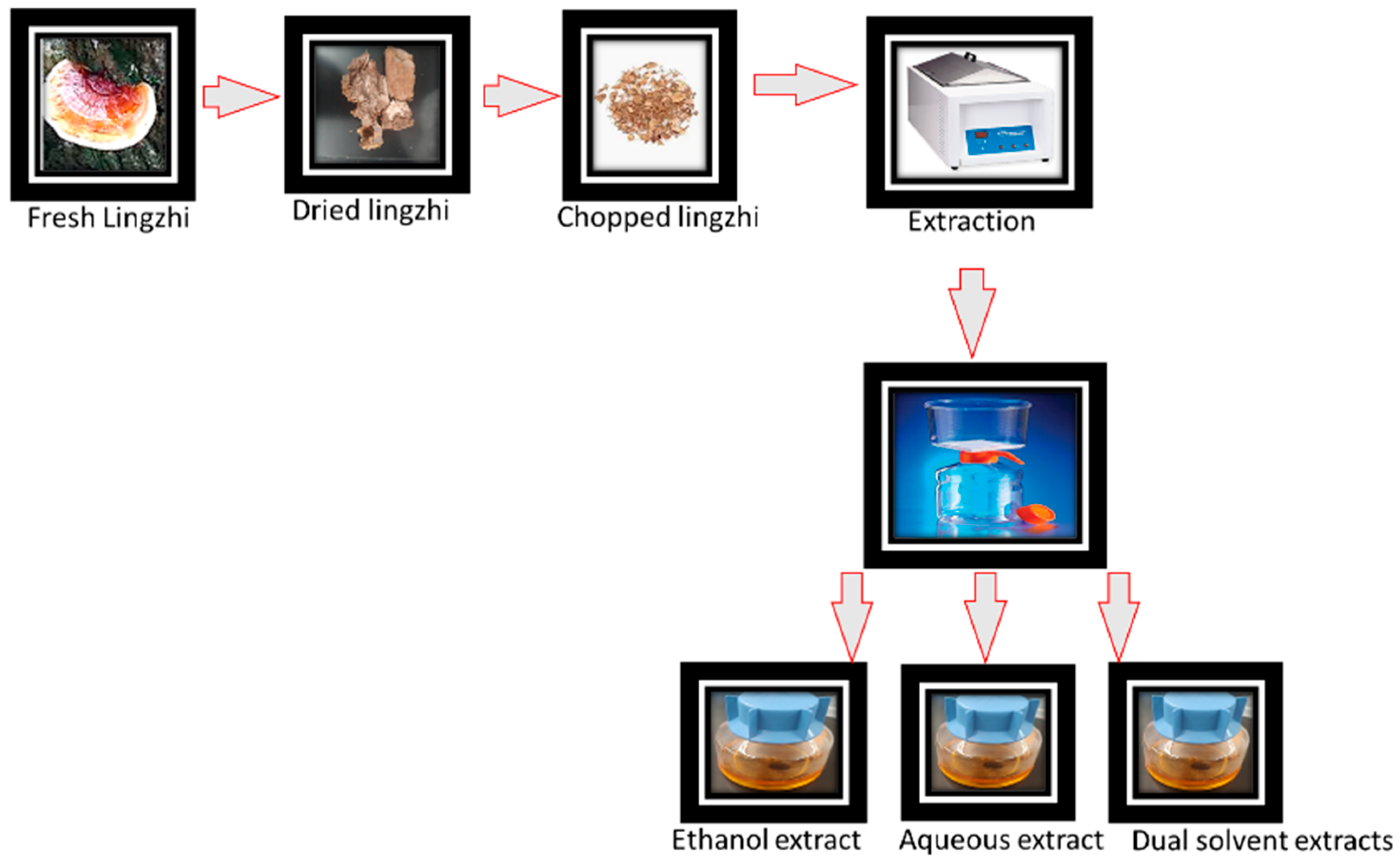 Antibiotics 13 01109 g001