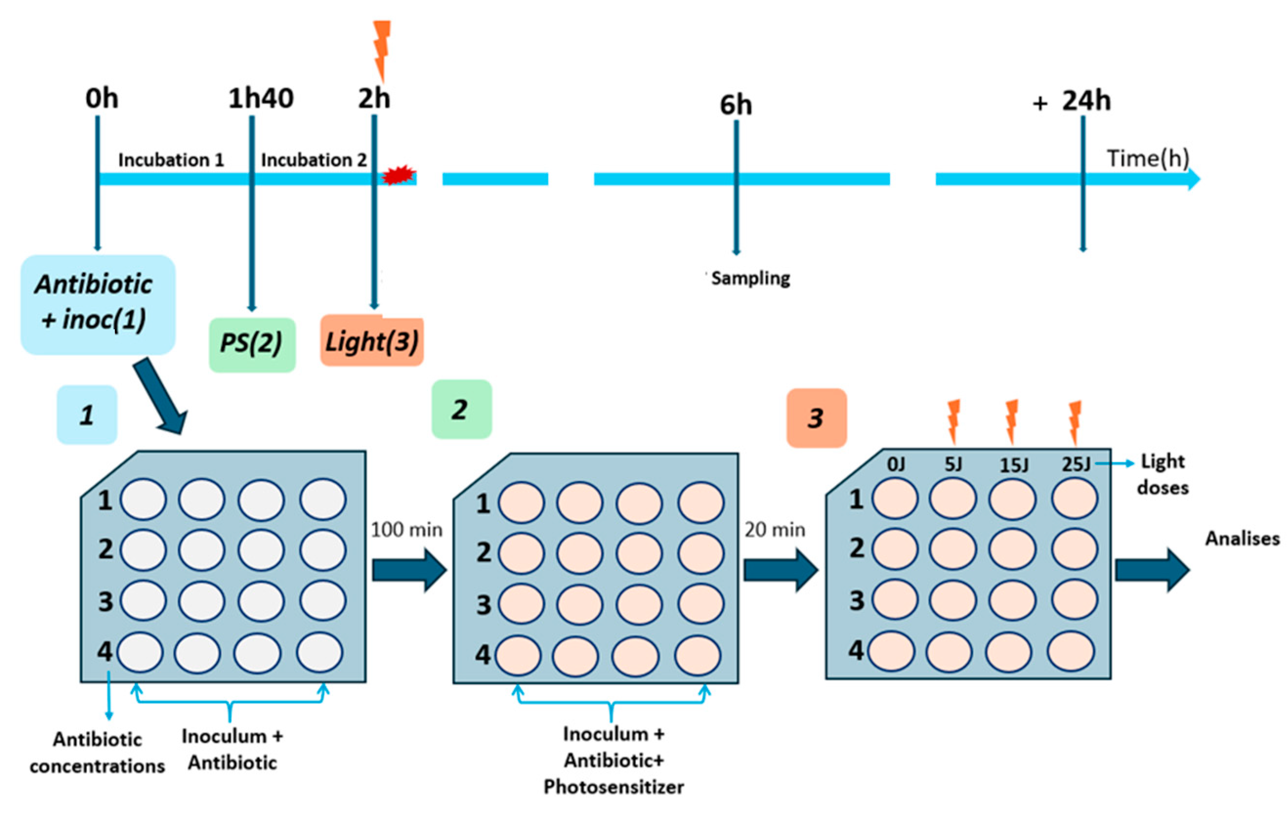 Antibiotics 13 01111 g007